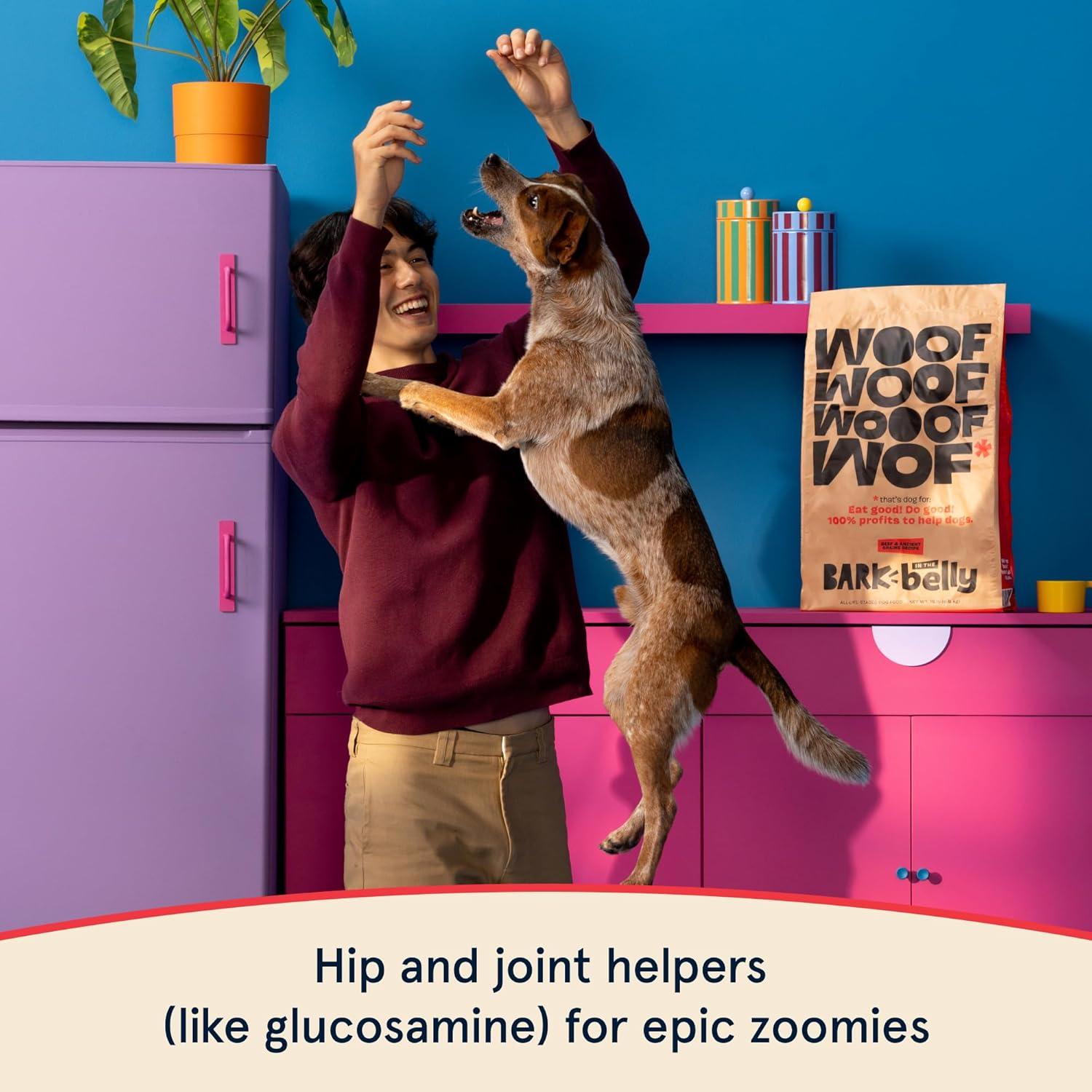 imageBark in The Belly Beef amp Ancient Grains Recipe Premium Dog Food  4 lb Bag 18 kgBeef