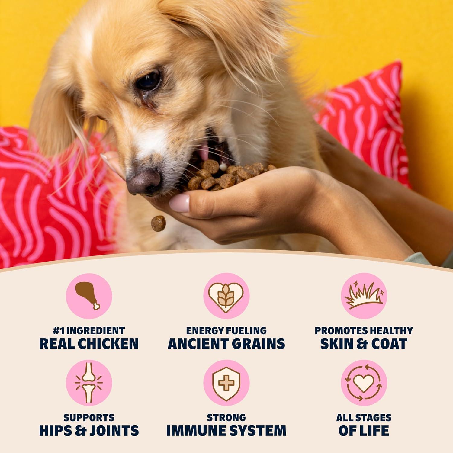 imageBark in The Belly Beef amp Ancient Grains Recipe Premium Dog Food  4 lb Bag 18 kgChicken