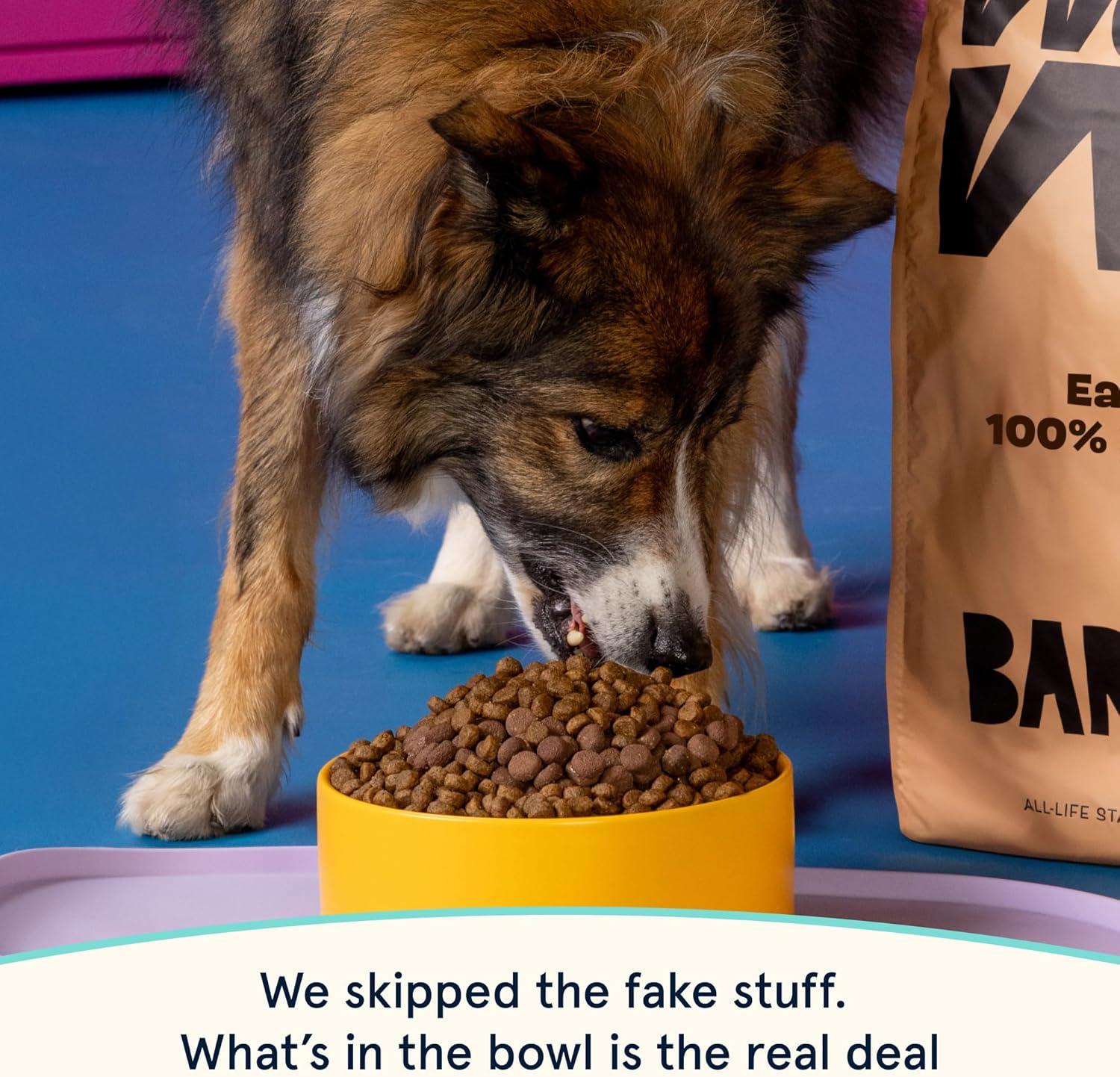 imageBark in The Belly Beef amp Ancient Grains Recipe Premium Dog Food  4 lb Bag 18 kgSalmon