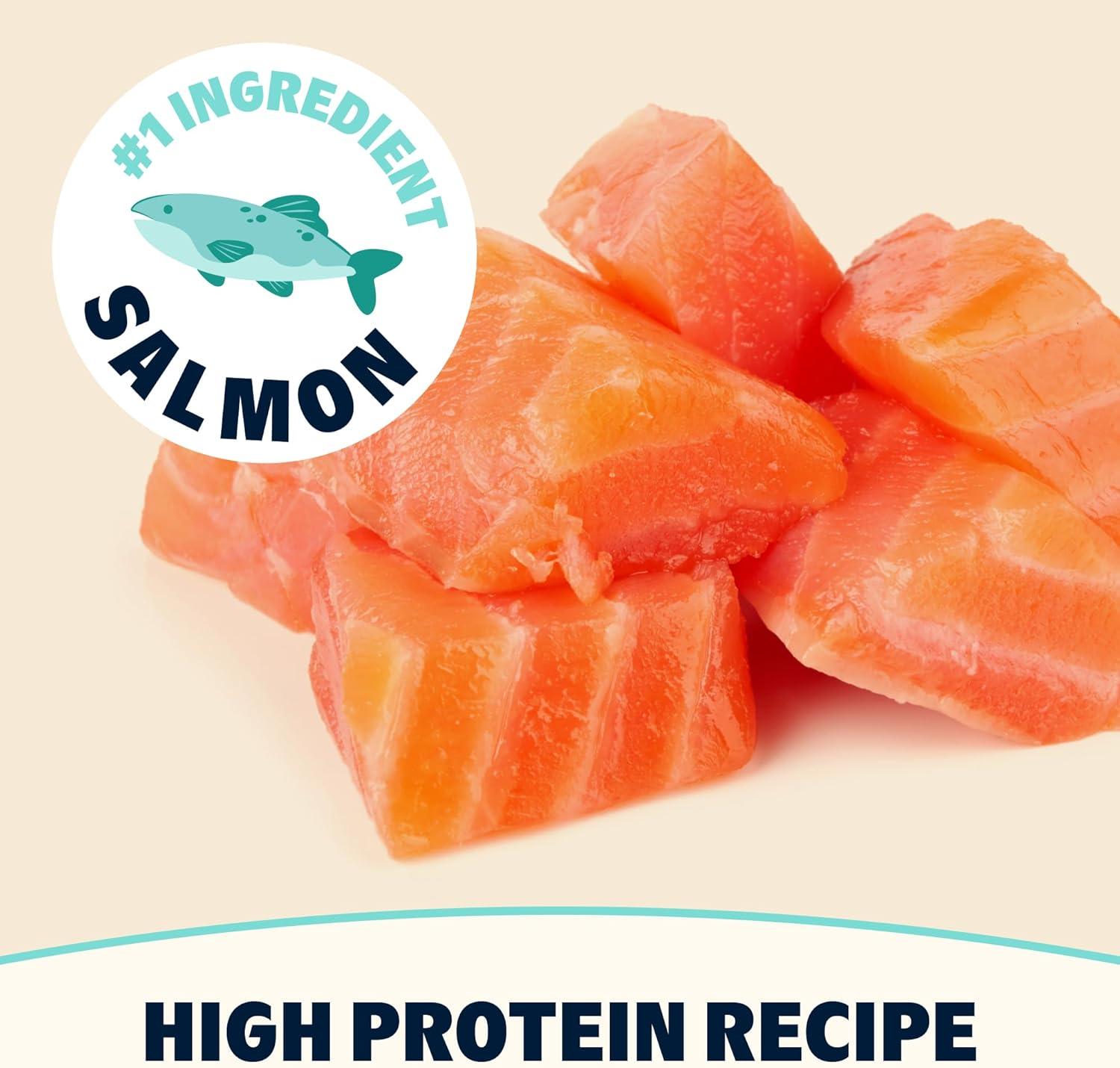 imageBark in The Belly Beef amp Ancient Grains Recipe Premium Dog Food  4 lb Bag 18 kgSalmon