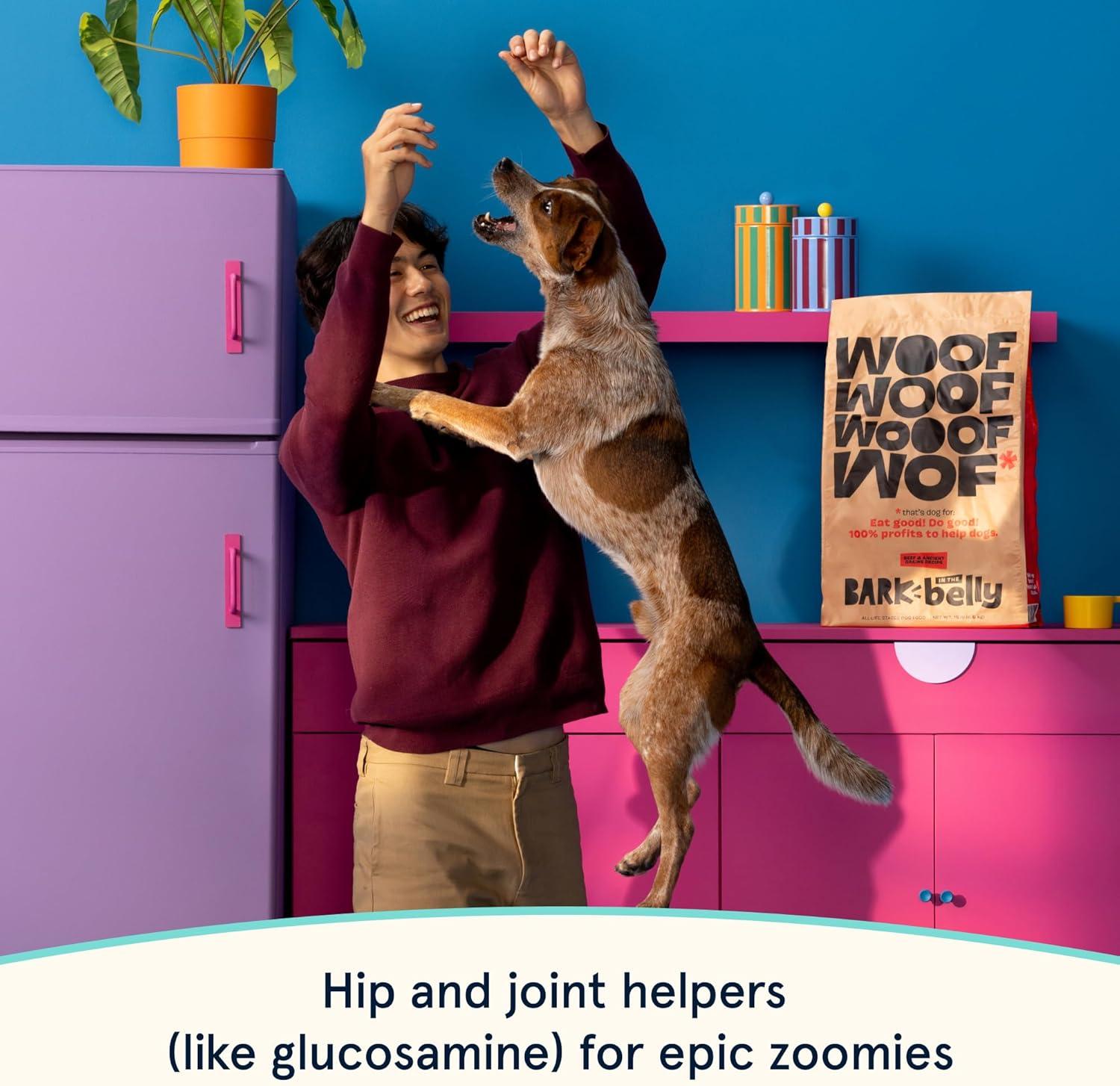 imageBark in The Belly Beef amp Ancient Grains Recipe Premium Dog Food  4 lb Bag 18 kgSalmon