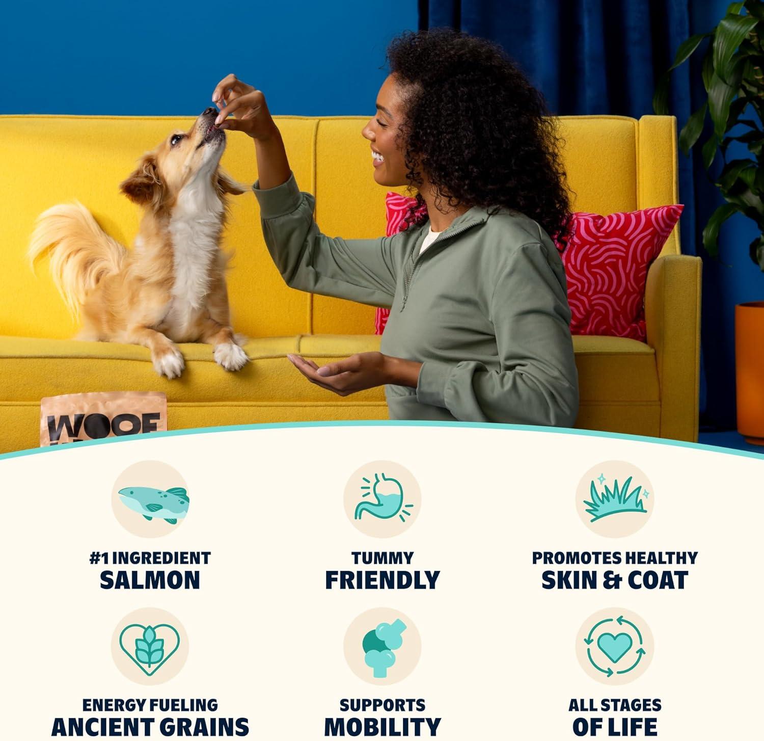 imageBark in The Belly Beef amp Ancient Grains Recipe Premium Dog Food  4 lb Bag 18 kgSalmon