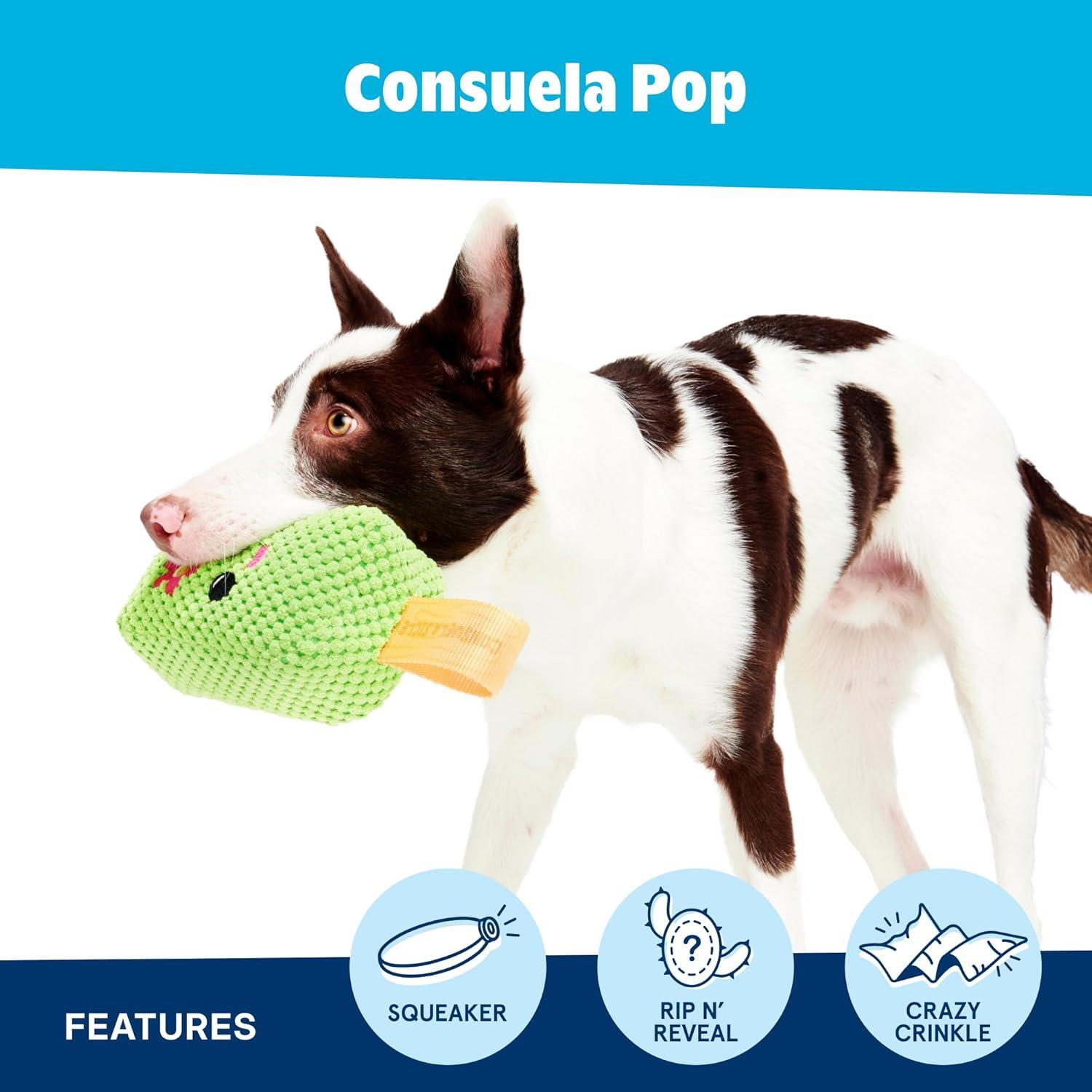 imageBarkbox 2 in 1 Interactive Plush Dog Toy  Rip and Reveal Toy for Dogs and Puppies  Stimulating Squeaky Pet Toys  Prickly Pete SmallCactus Pop Tug