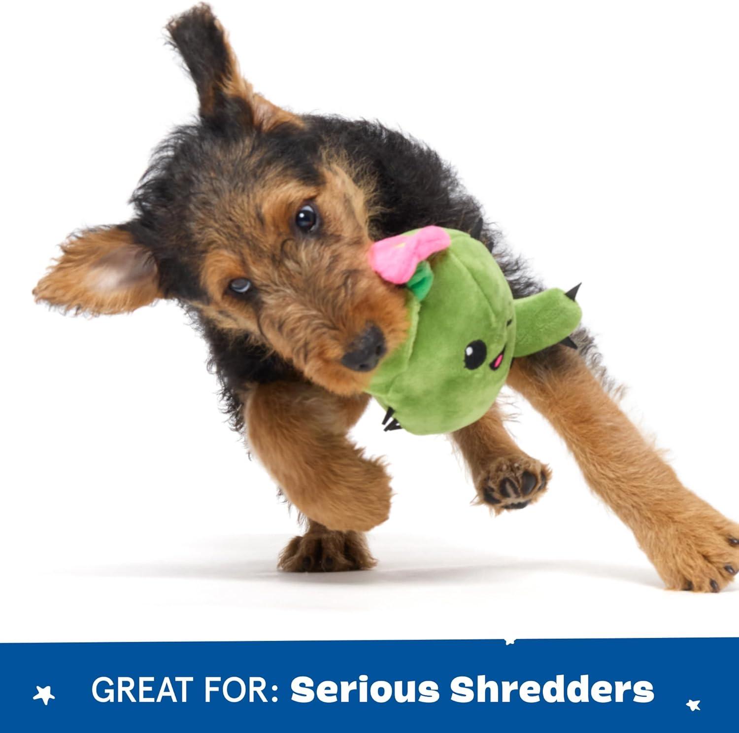 imageBarkbox 2 in 1 Interactive Plush Dog Toy  Rip and Reveal Toy for Dogs and Puppies  Stimulating Squeaky Pet Toys  Prickly Pete SmallConsuela  Small