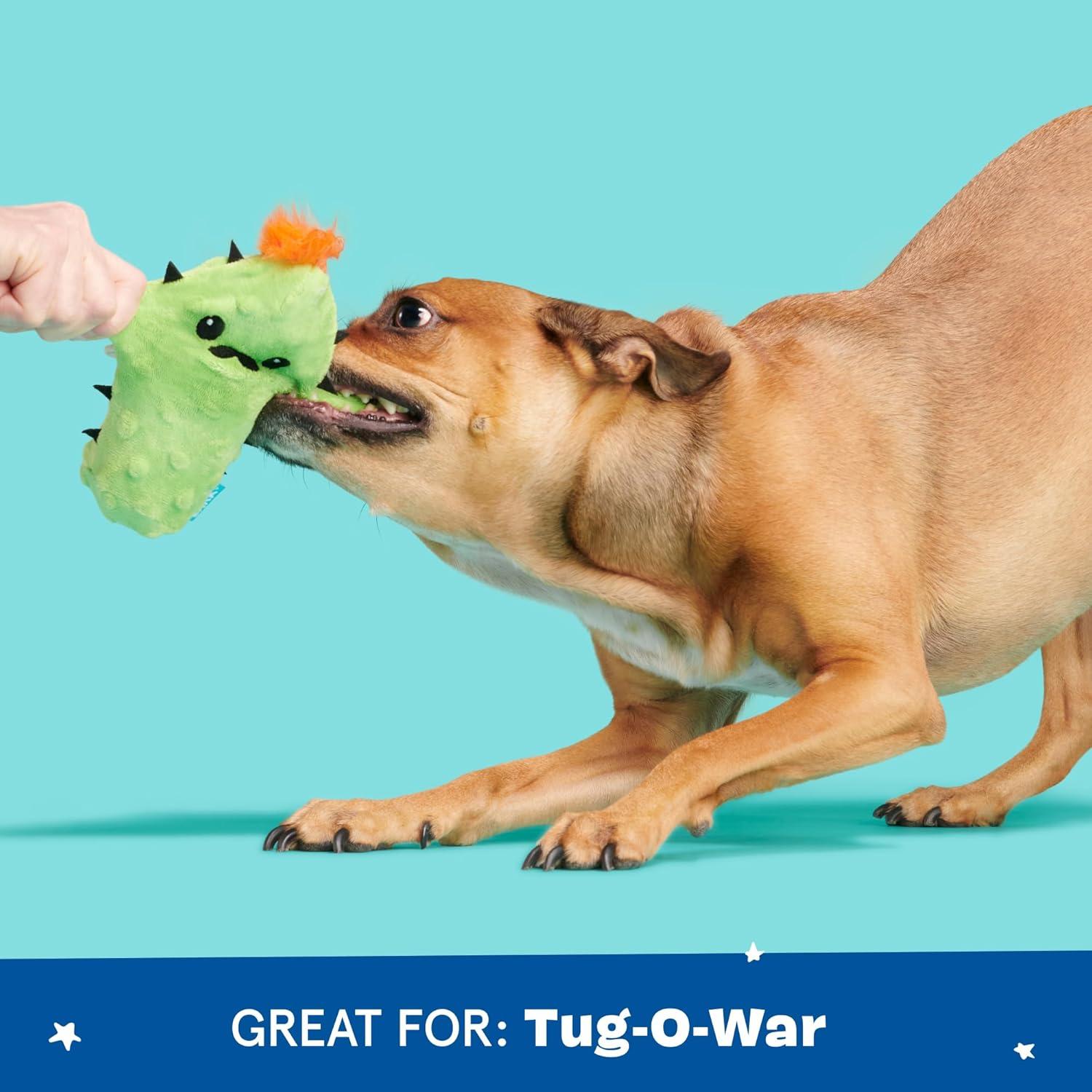 imageBarkbox 2 in 1 Interactive Plush Dog Toy  Rip and Reveal Toy for Dogs and Puppies  Stimulating Squeaky Pet Toys  Prickly Pete SmallPrickly Pete