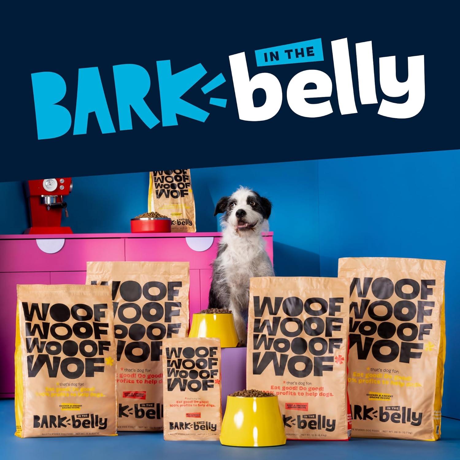 imageBarkbox Bada Bing Beef Dry Dog Food Toppers with High Protein and Limited Ingredients Meal Enhancer for Large amp Small Breeds  46 OzCheese