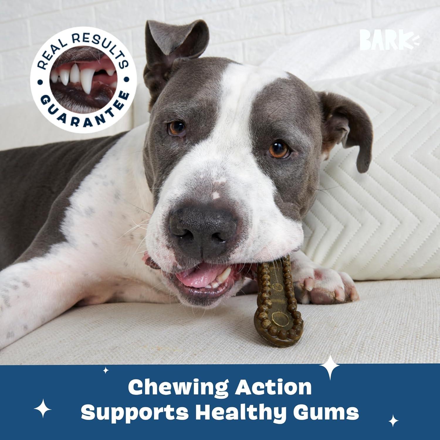 imageBarkbox Bright Durable Dental Chew Sticks for Dogs  15 Chews Made for Tough Chewers Large BreedsLarge Breeds