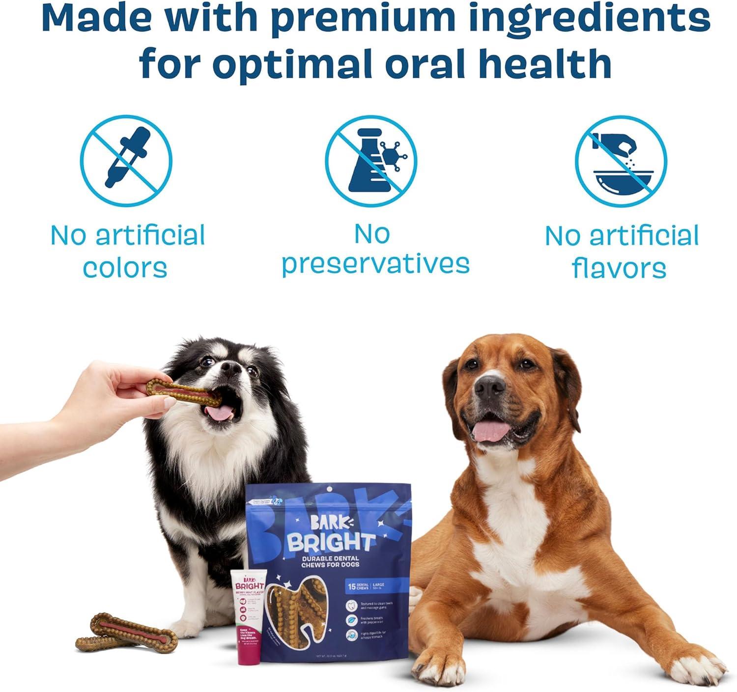 imageBarkbox Bright Durable Dental Kit Berry Mint Flavored 15 Chew Sticks amp Toothpaste  Large BreedsLarge Breeds