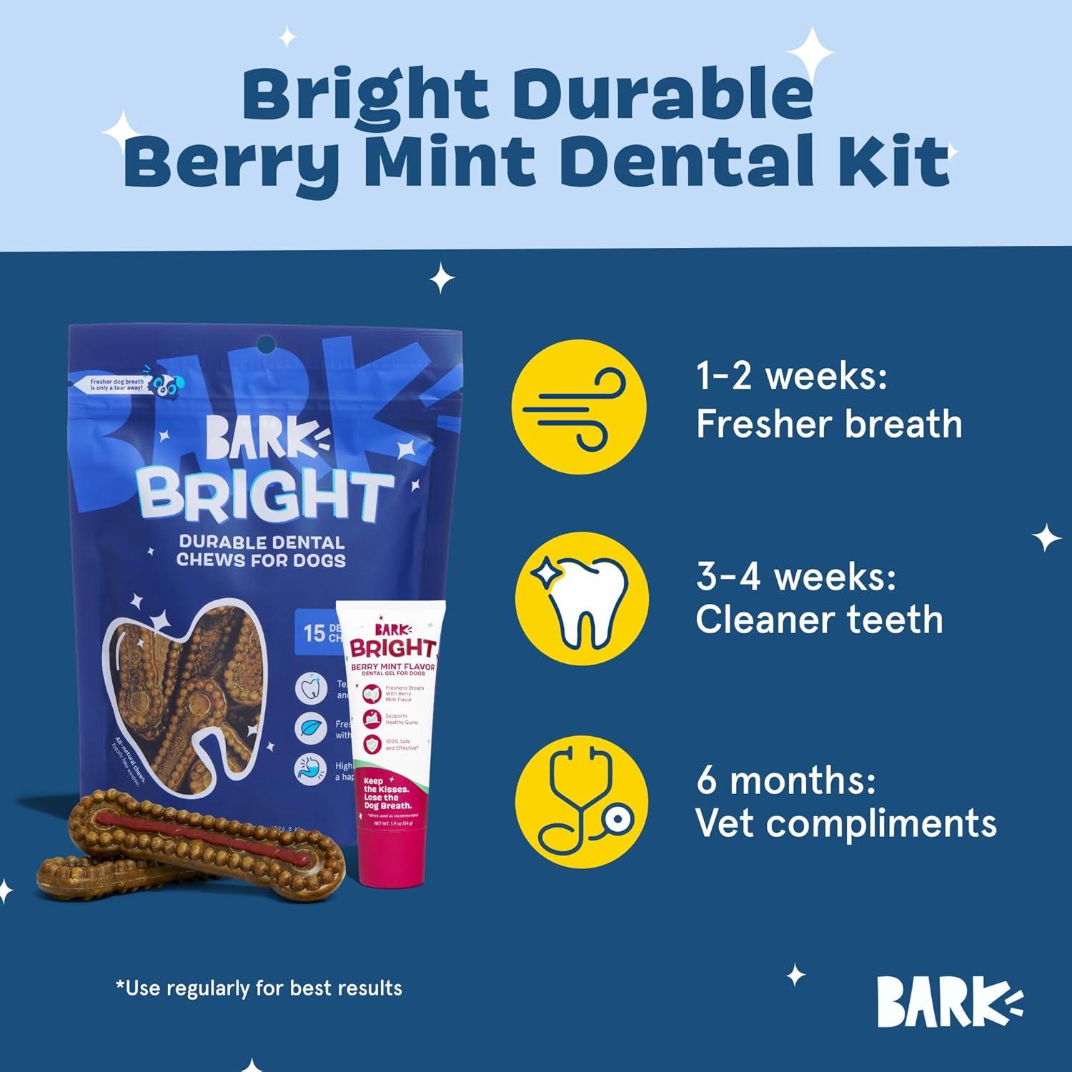 imageBarkbox Bright Durable Dental Kit Berry Mint Flavored 15 Chew Sticks amp Toothpaste  Large BreedsLarge Breeds