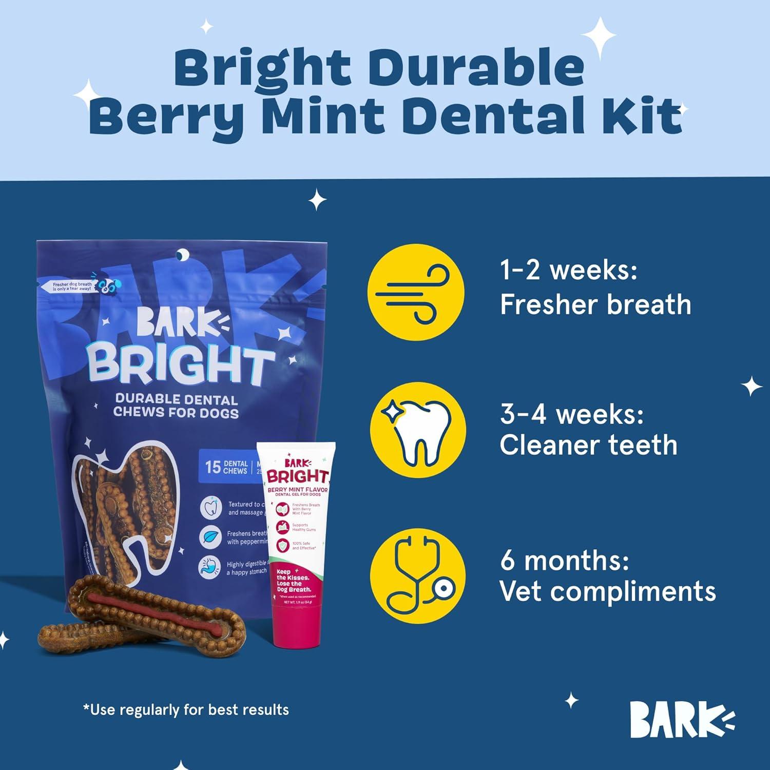imageBarkbox Bright Durable Dental Kit Berry Mint Flavored 15 Chew Sticks amp Toothpaste  Large BreedsMedium Breeds