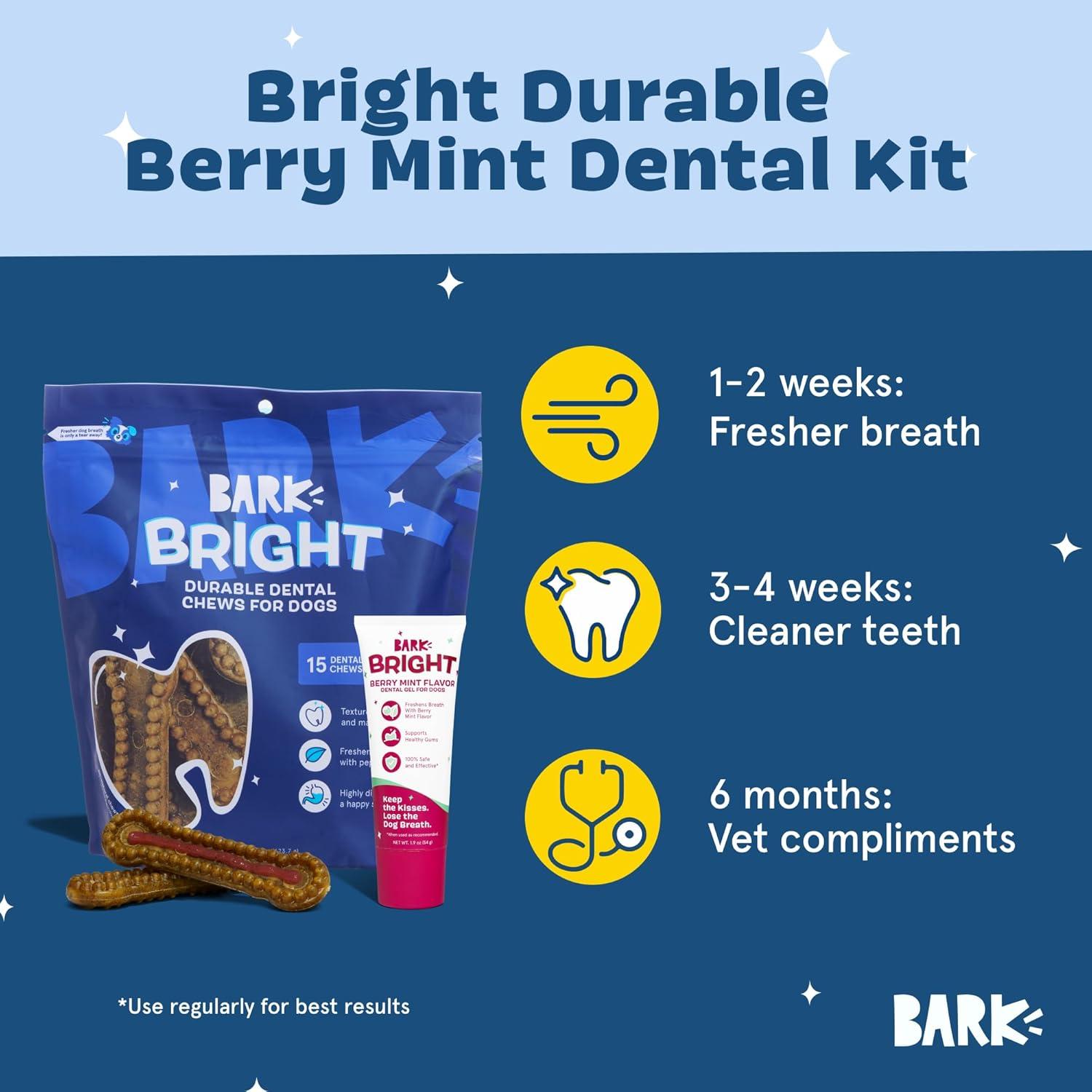 imageBarkbox Bright Durable Dental Kit Berry Mint Flavored 15 Chew Sticks amp Toothpaste  Large BreedsSmall Breeds