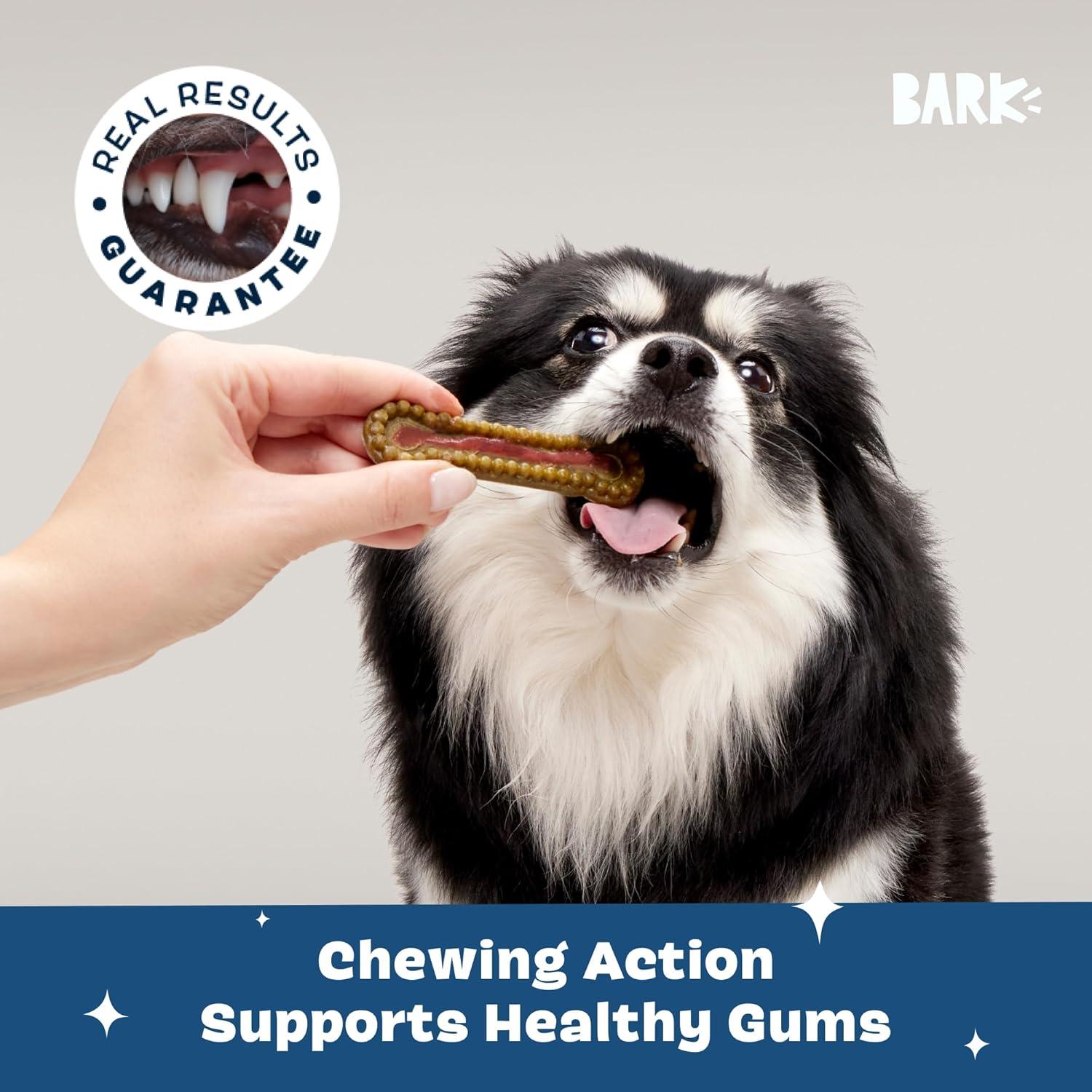 imageBarkbox Bright Durable Dental Kit Berry Mint Flavored 15 Chew Sticks amp Toothpaste  Large BreedsSmall Breeds