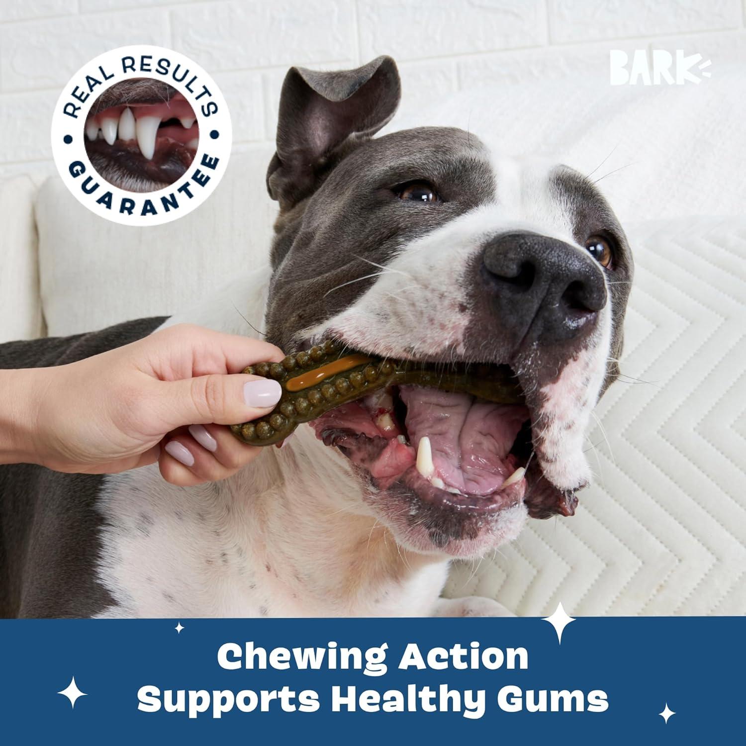 imageBarkbox Bright Durable Dog Dental Kit for Tough Chewers 15 Chew Sticks amp Toothpaste  Large BreedsLarge Breeds