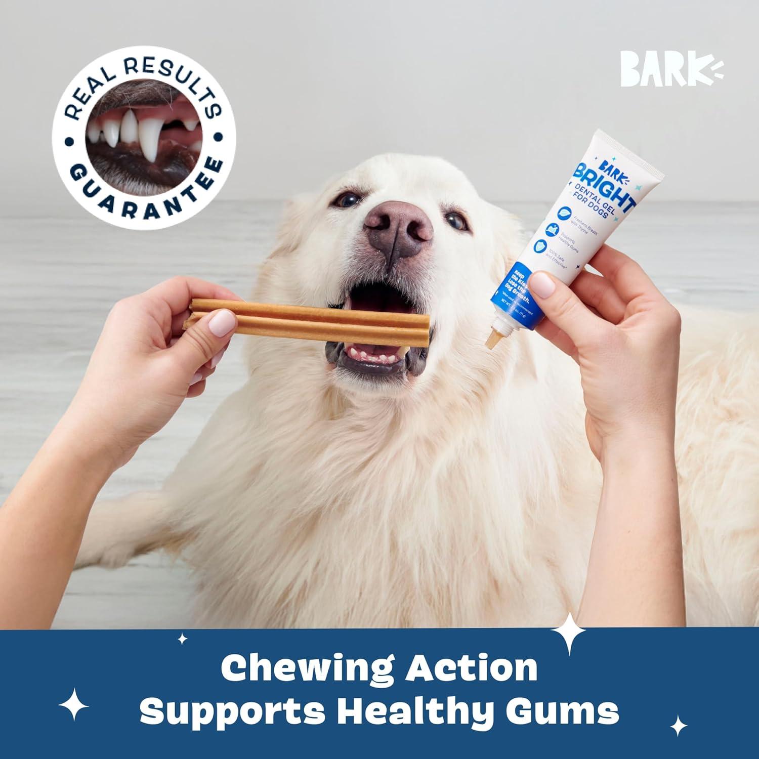 imageBarkbox Bright Durable Dog Dental Kit for Tough Chewers 15 Chew Sticks amp Toothpaste  Large BreedsSmall Breeds