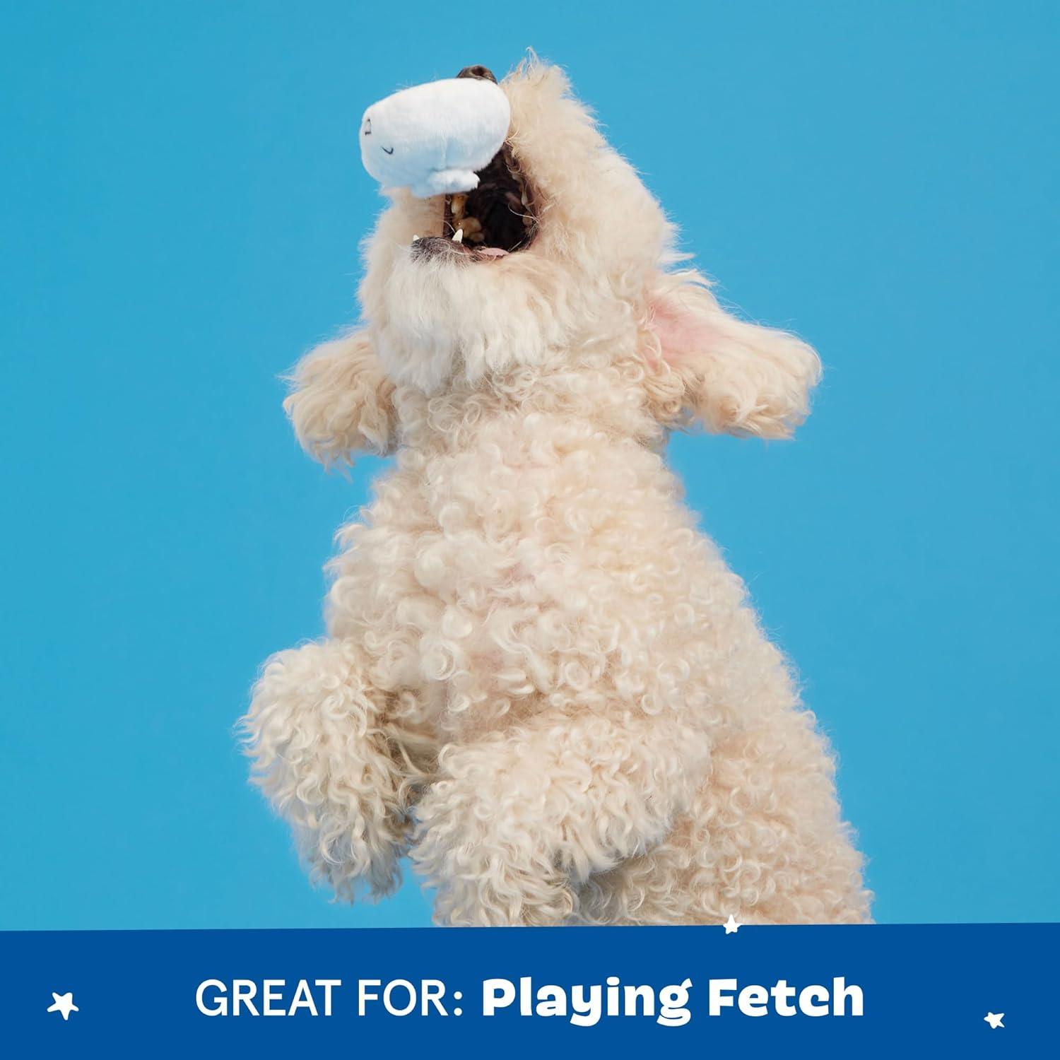 imageBarkbox Chewz Ballz Plush Dog Toy  MultiPart Fun for Small Dogs Perfect for Playtime amp FetchAndis Dumplings  Small