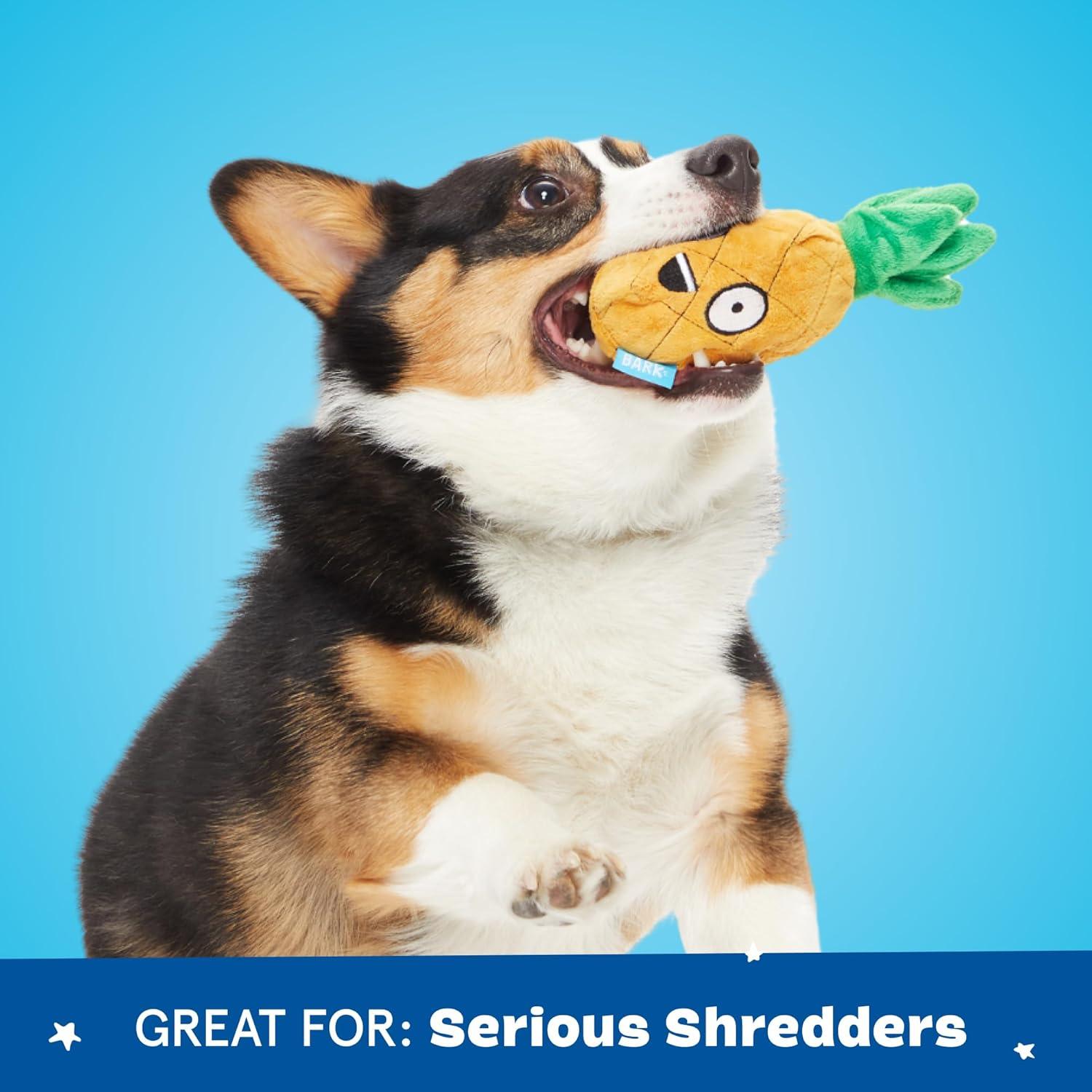 imageBarkbox Chewz Ballz Plush Dog Toy  MultiPart Fun for Small Dogs Perfect for Playtime amp FetchPenny the Pineapple  Small