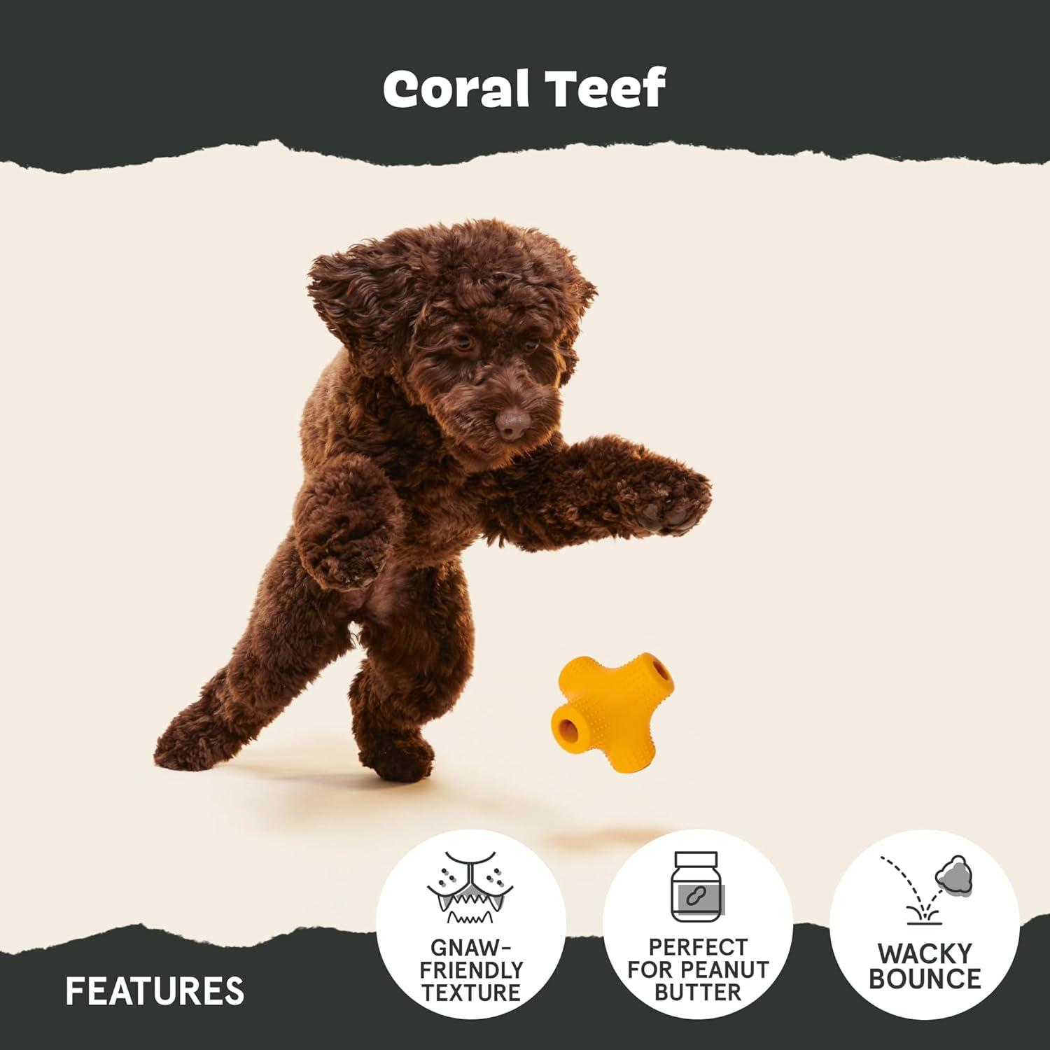 imageBarkbox Coral Teef Dog Toy  Wacky Bounce  Dog Toy for Aggressive ChewersCoral Teef