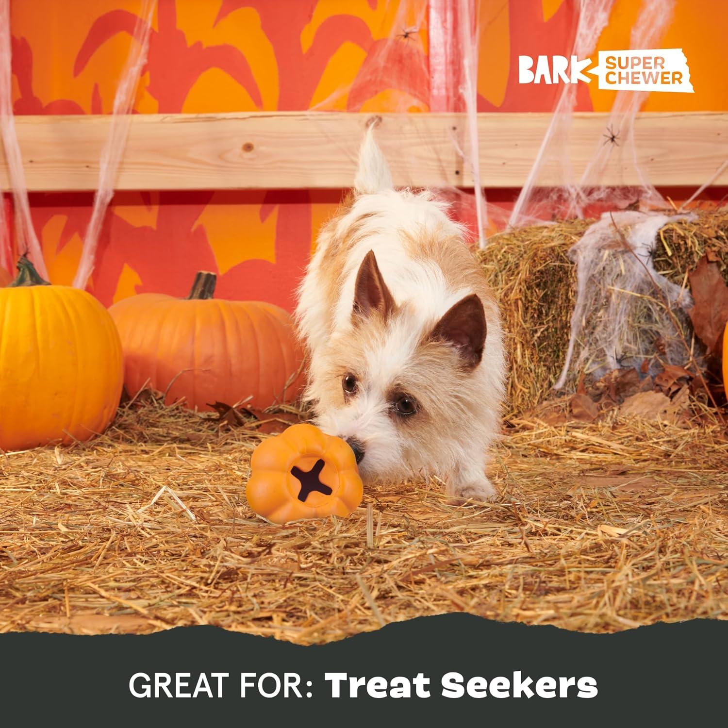 imageBarkbox Coral Teef Dog Toy  Wacky Bounce  Dog Toy for Aggressive ChewersSquash