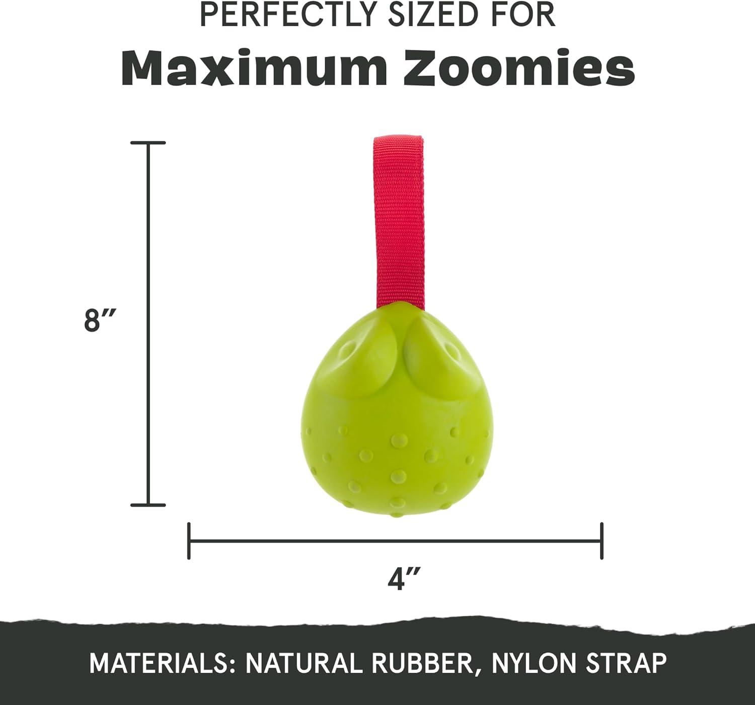 imageBarkbox Dog Toy 2 in 1 Interactive Plush Exterior with Squeaker amp Textured Material Tearable Dog Toy with Squeaky Spikey Ball Inside Ideal for Toy Destroyers  Monsieur Acorn LargeTug Tied ToadLarge