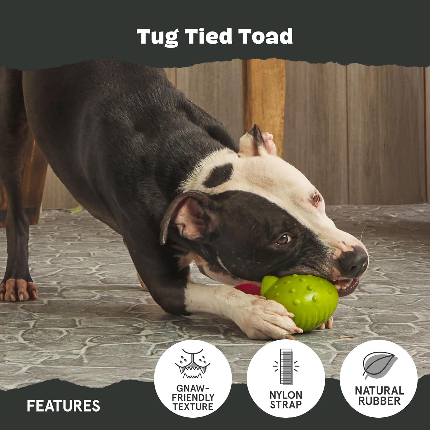 imageBarkbox Dog Toy 2 in 1 Interactive Plush Exterior with Squeaker amp Textured Material Tearable Dog Toy with Squeaky Spikey Ball Inside Ideal for Toy Destroyers  Monsieur Acorn LargeTug Tied ToadLarge