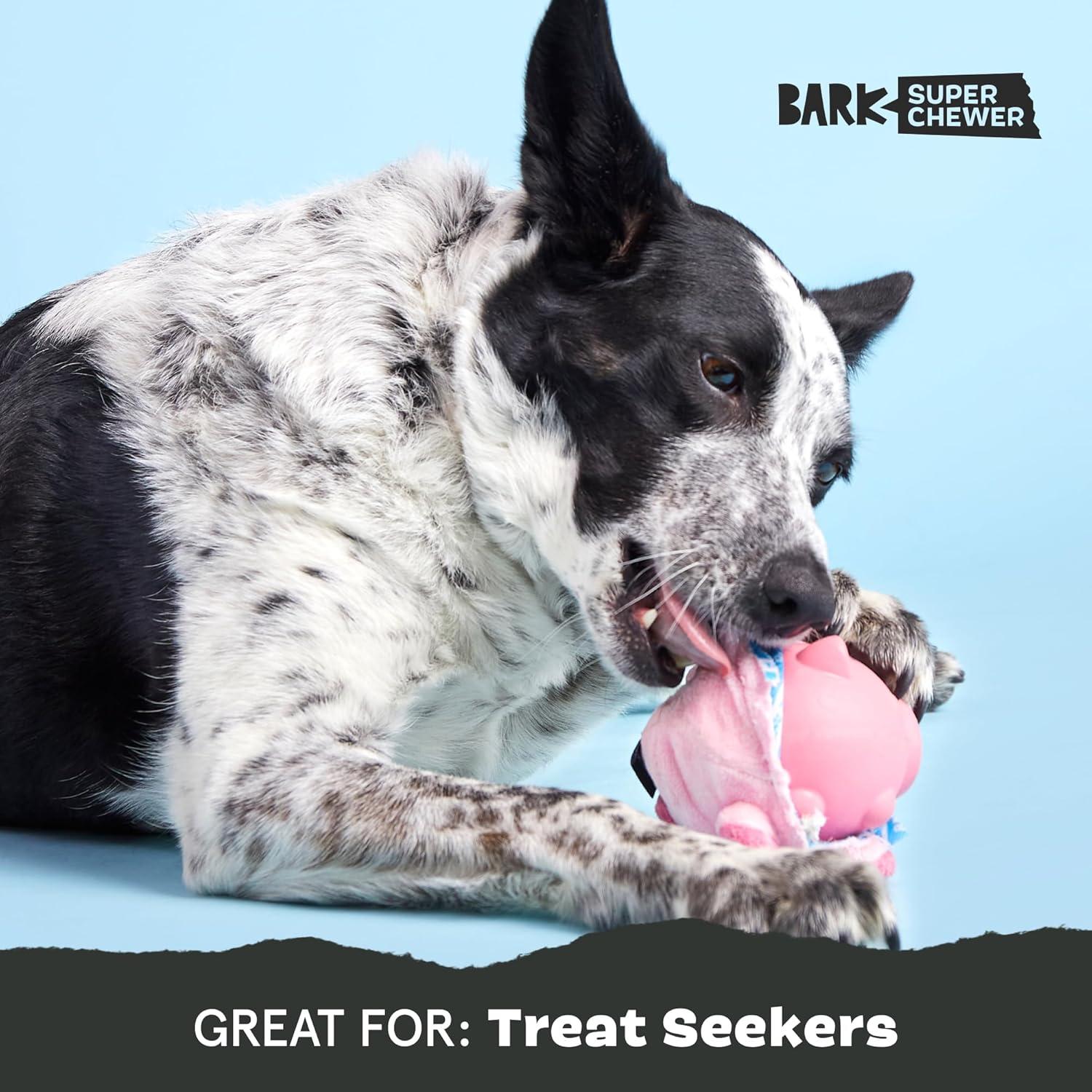 imageBarkbox Pupkin Spice Latte Plush Dog Toy  Plush Dog Toys  Puppy and Pet Toys for Medium to Large DogsHambone Super Chewer