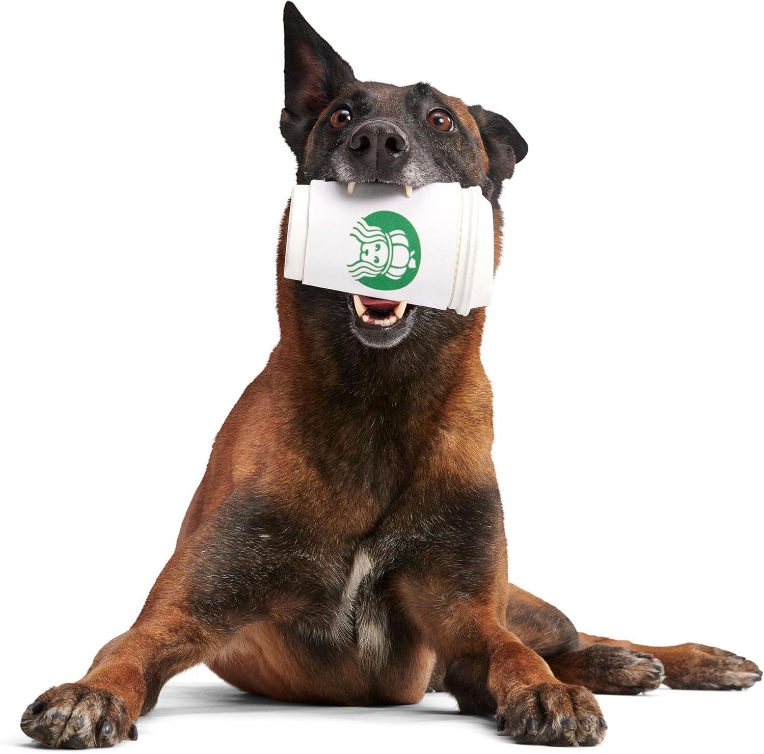 imageBarkbox Pupkin Spice Latte Plush Dog Toy  Plush Dog Toys  Puppy and Pet Toys for Medium to Large DogsPupkin Spice Latte