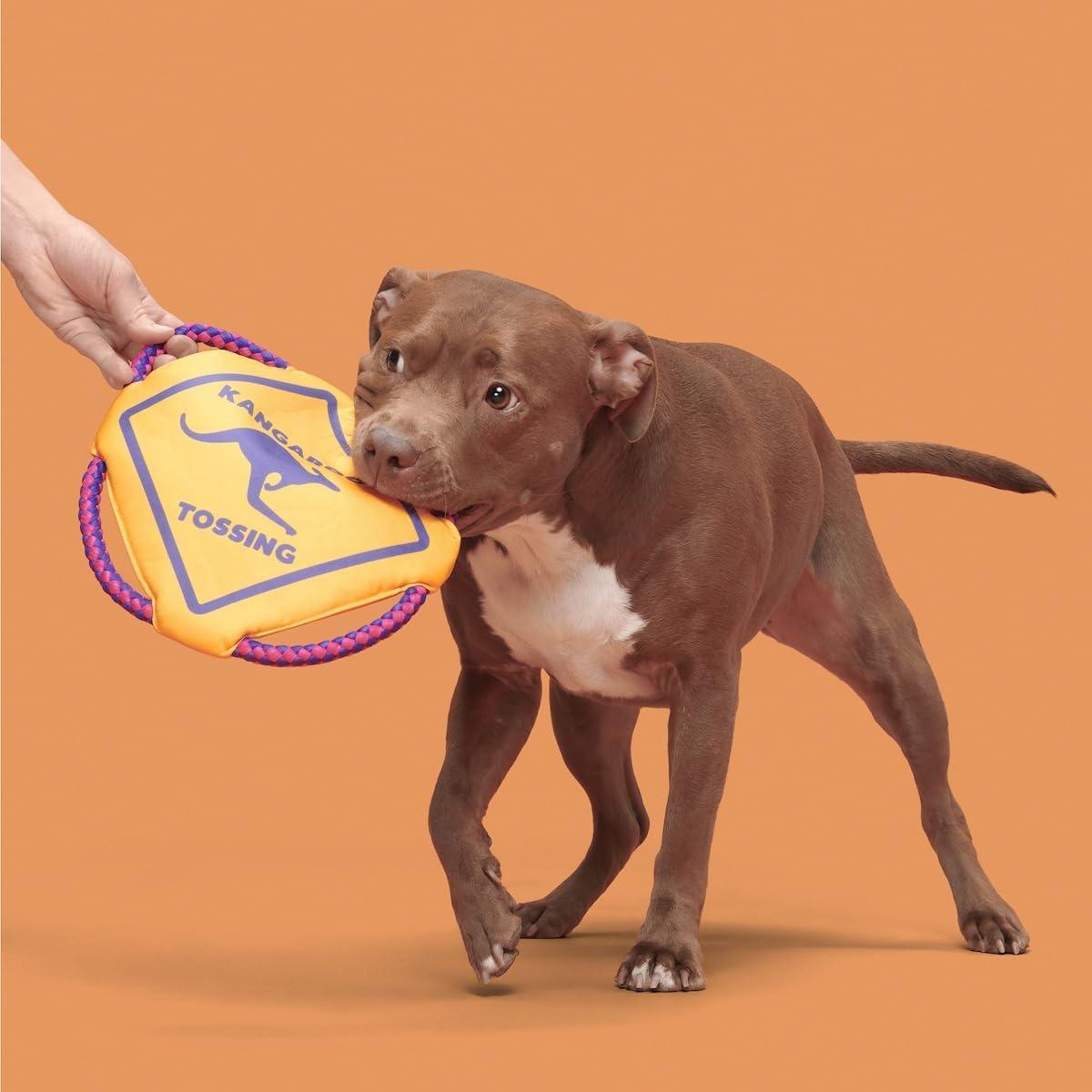 imageBarkbox Signore Pizza Face Dog Toy  FluffFree Crinkle Pizza Toy with TShirt Rope  Durable Dog Toys Dogs amp Puppy EssentialsKangaroo Tossing