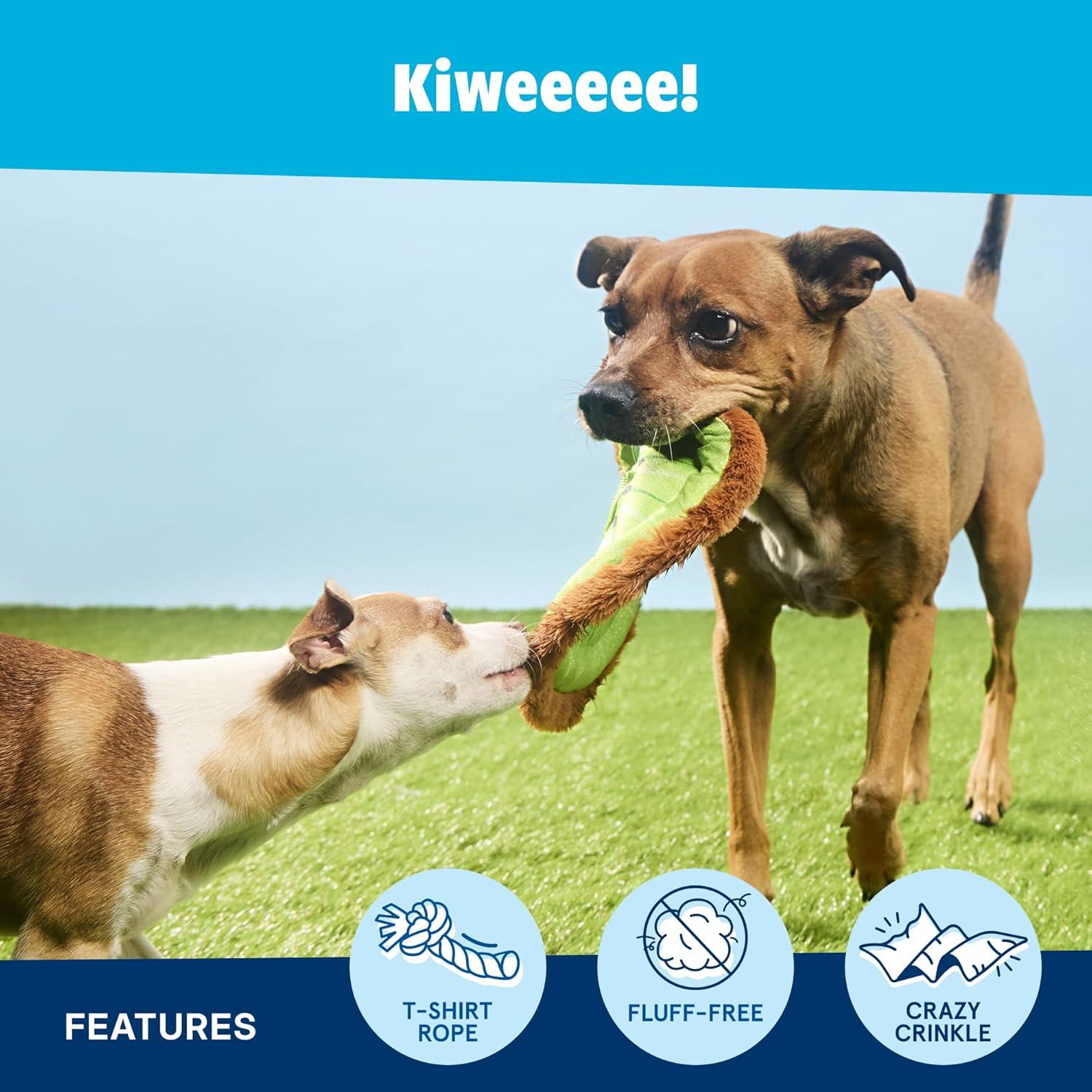 imageBarkbox Signore Pizza Face Dog Toy  FluffFree Crinkle Pizza Toy with TShirt Rope  Durable Dog Toys Dogs amp Puppy EssentialsKiweeeee