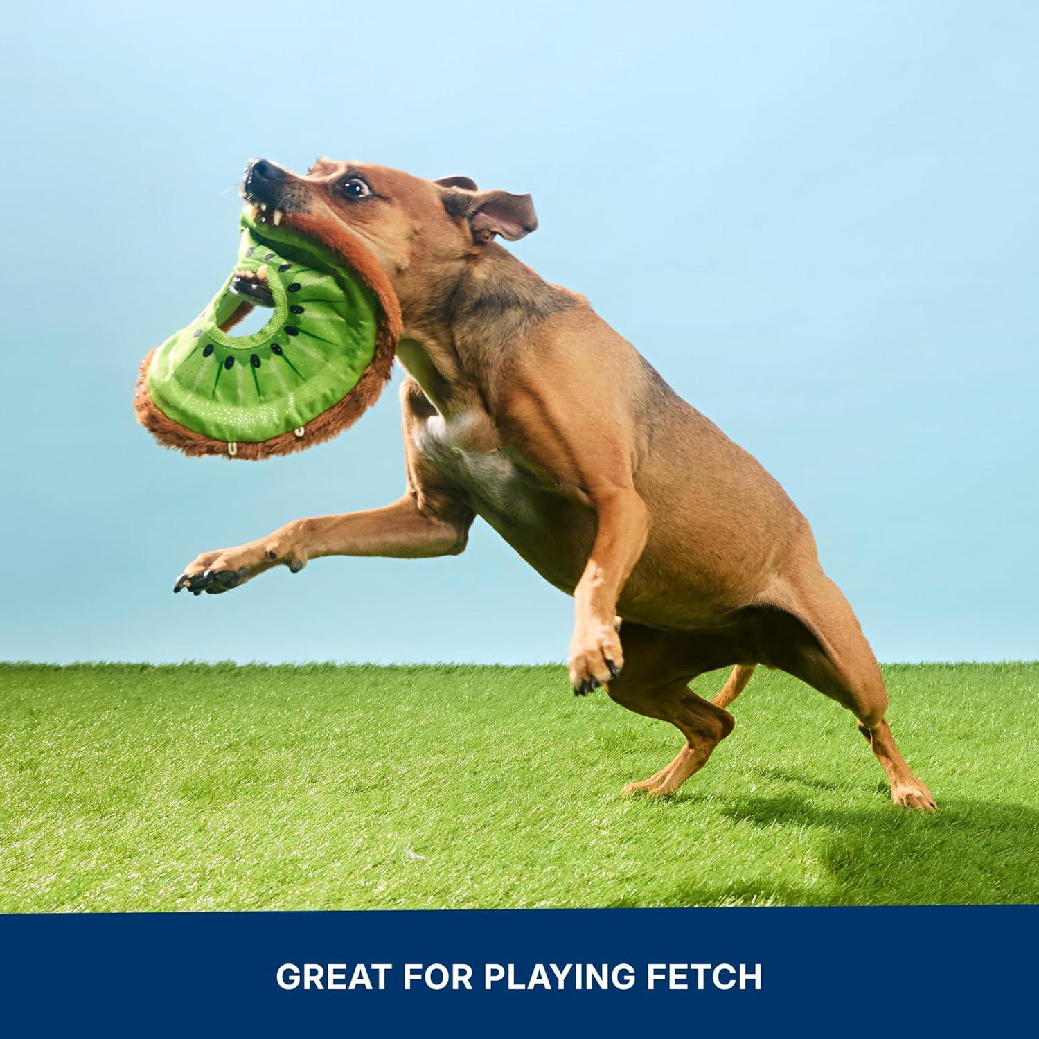 imageBarkbox Signore Pizza Face Dog Toy  FluffFree Crinkle Pizza Toy with TShirt Rope  Durable Dog Toys Dogs amp Puppy EssentialsKiweeeee