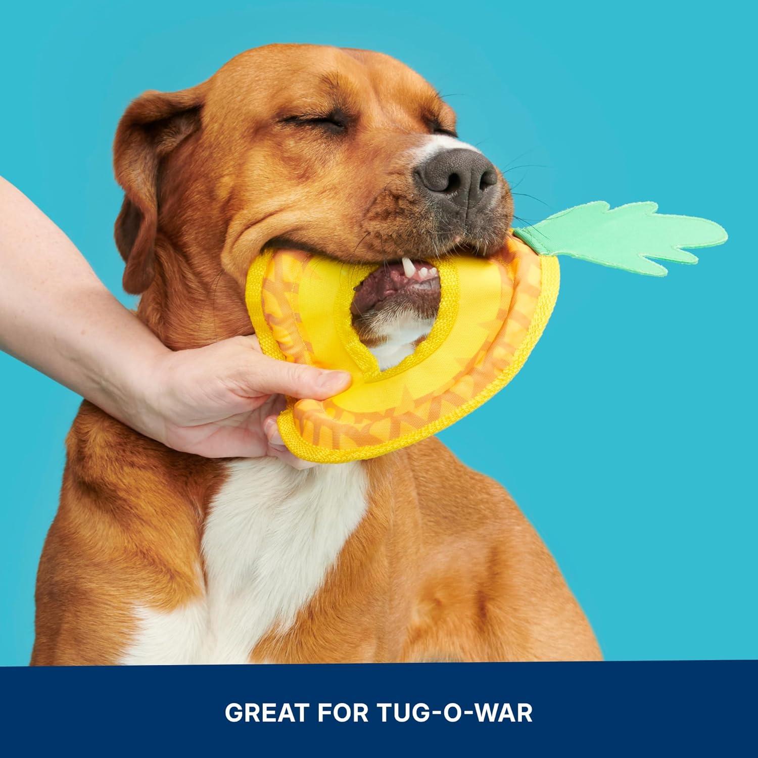 imageBarkbox Signore Pizza Face Dog Toy  FluffFree Crinkle Pizza Toy with TShirt Rope  Durable Dog Toys Dogs amp Puppy EssentialsPineapple Fling