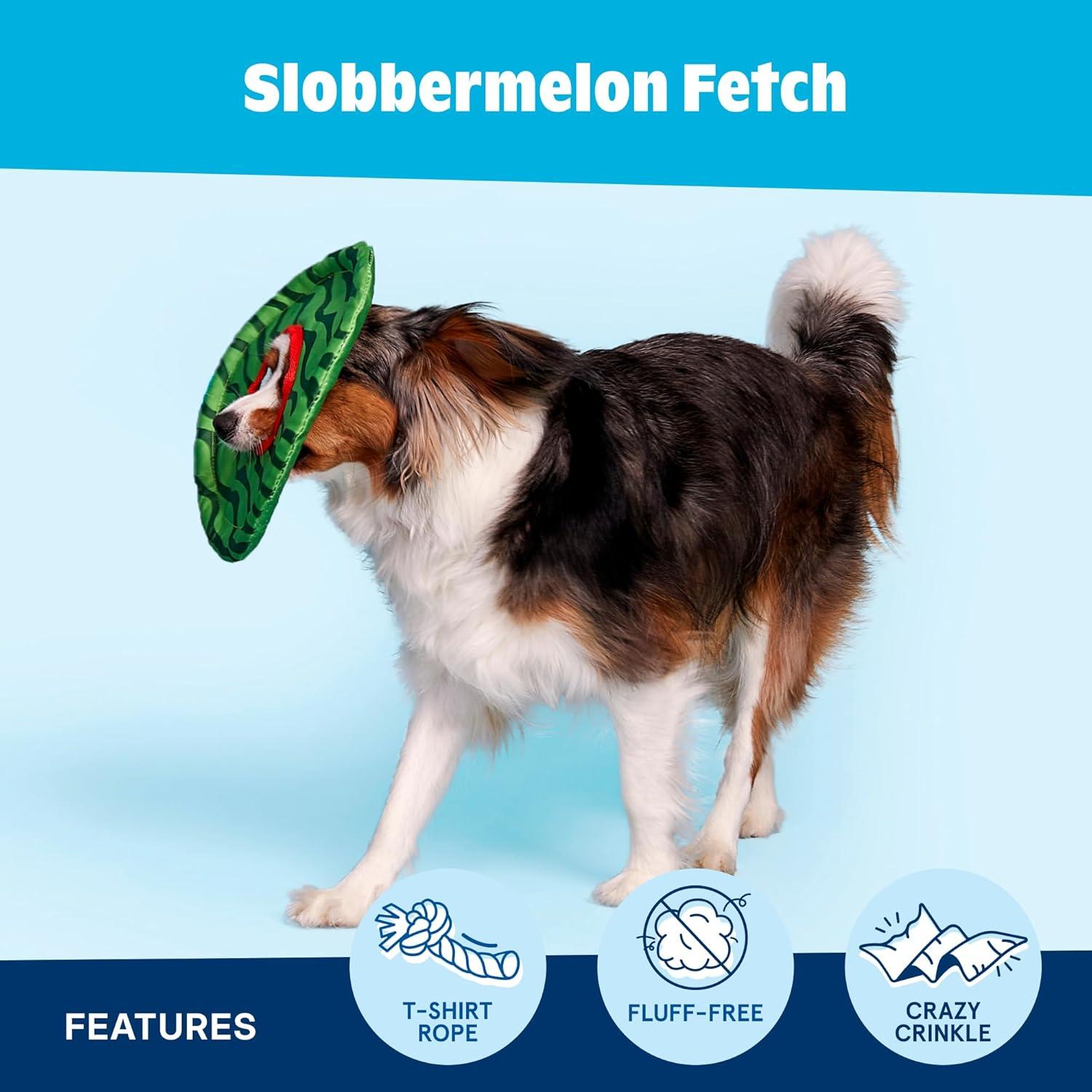 imageBarkbox Signore Pizza Face Dog Toy  FluffFree Crinkle Pizza Toy with TShirt Rope  Durable Dog Toys Dogs amp Puppy EssentialsSlobbermelon Fetch