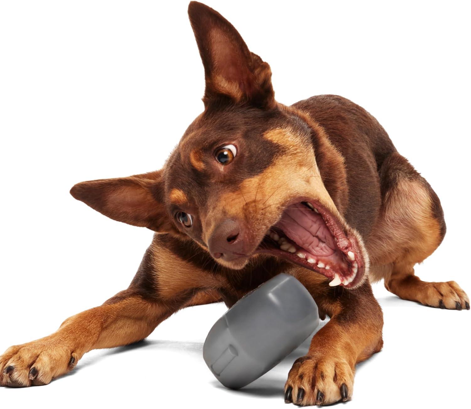 imageBarkbox Super Chewer Tough Dog Chew Toys for Aggressive Chewers Dental Stimulating T Bone  LargeDrac Casket