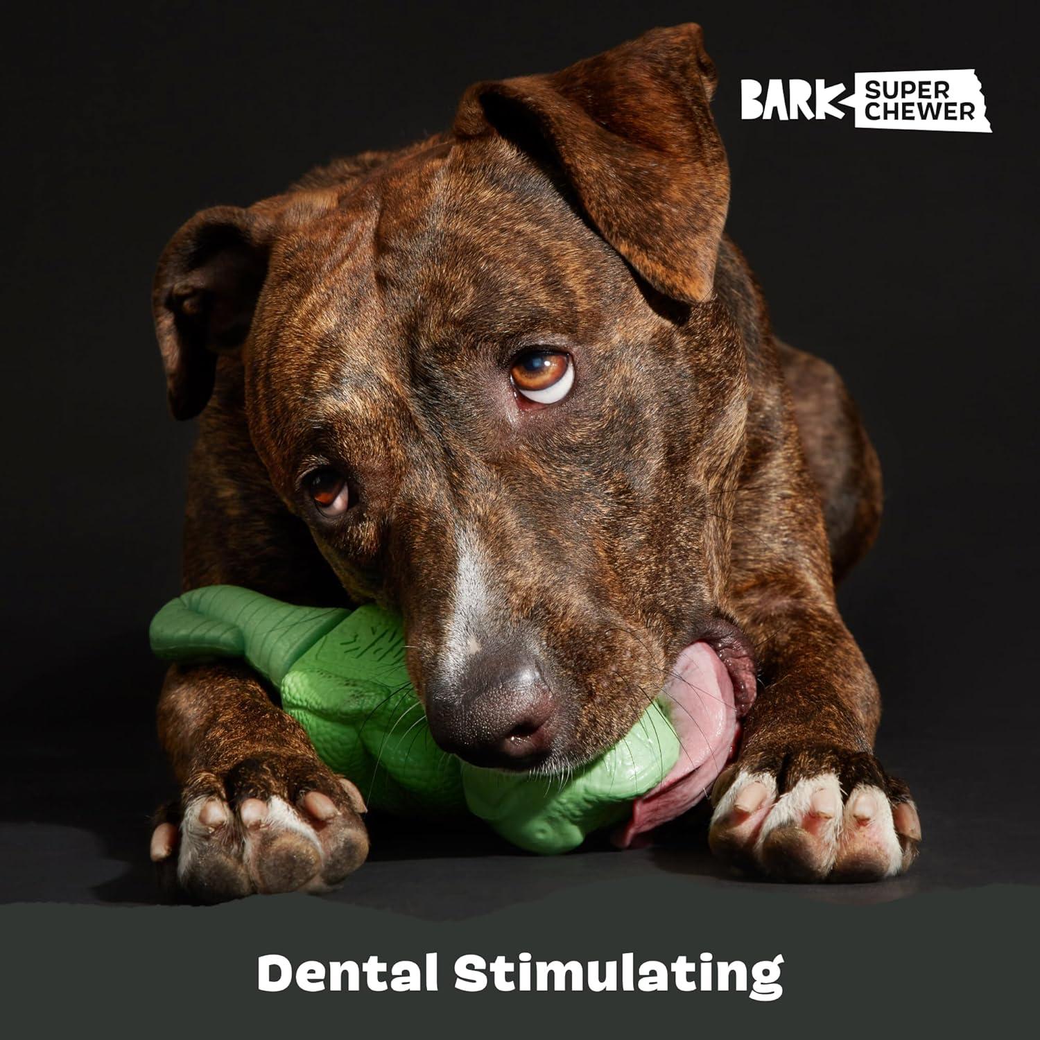 imageBarkbox Super Chewer Tough Dog Chew Toys for Aggressive Chewers Dental Stimulating T Bone  LargeIllana the Iguana  Large