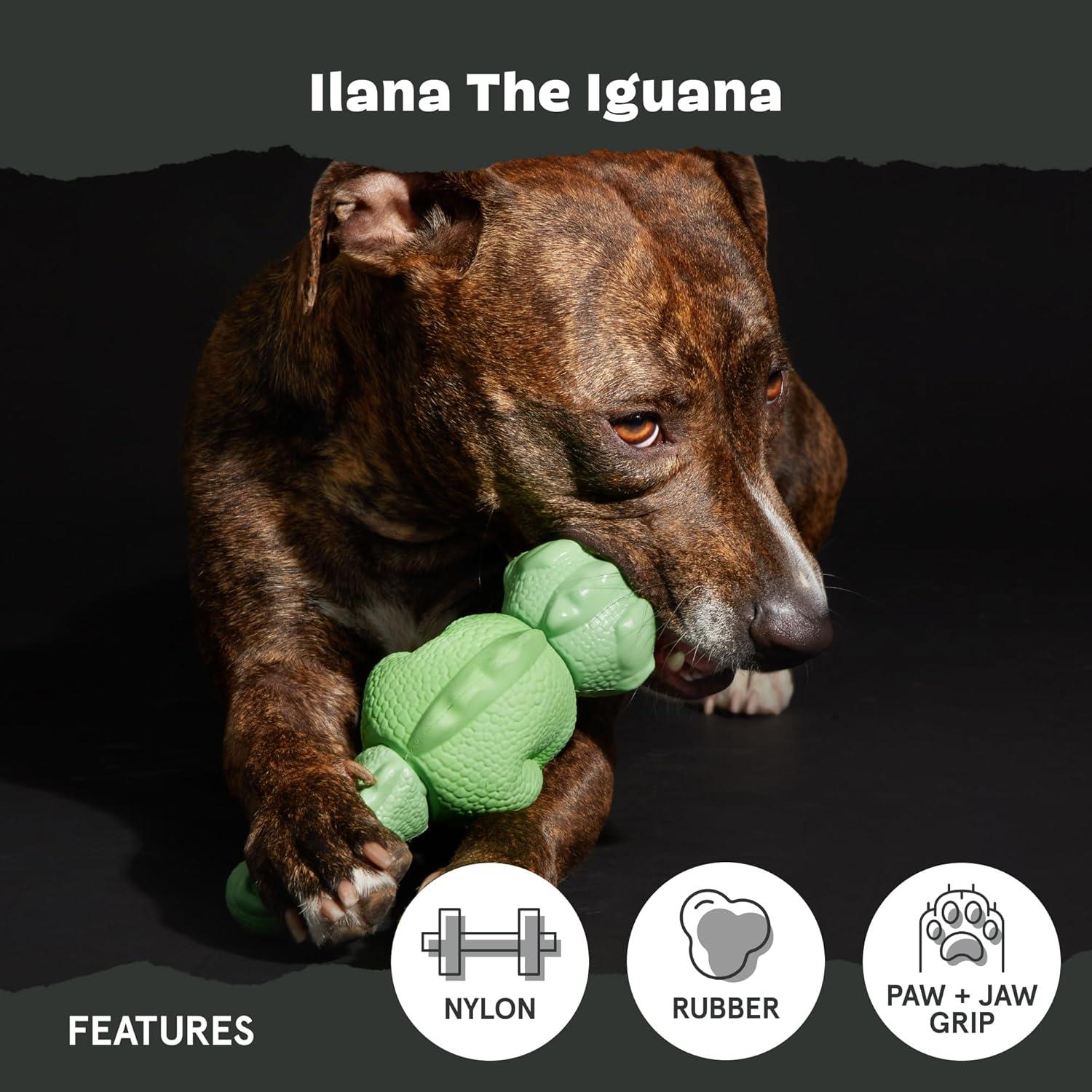 imageBarkbox Super Chewer Tough Dog Chew Toys for Aggressive Chewers Dental Stimulating T Bone  LargeIllana the Iguana  Large