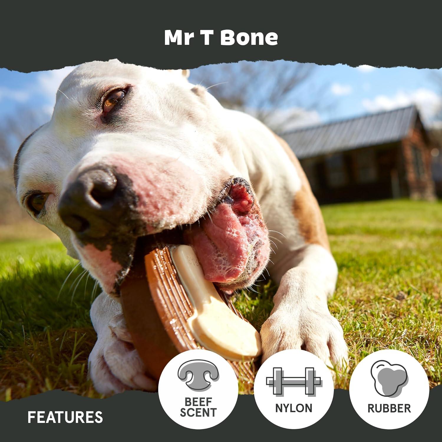 imageBarkbox Super Chewer Tough Dog Chew Toys for Aggressive Chewers Dental Stimulating T Bone  LargeMr TBone  Large