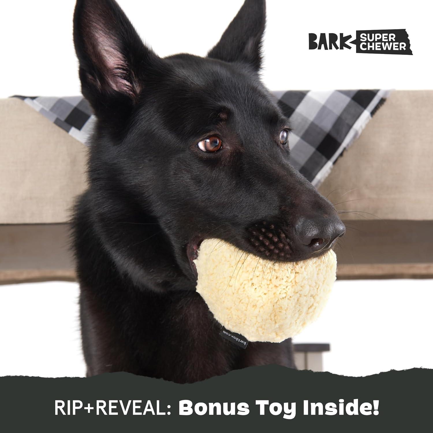 imageBarkbox Super Chewer Tough Dog Chew Toys for Aggressive Chewers Plush 2 Toys in 1 Parrot  LargeSmash Potato  Large