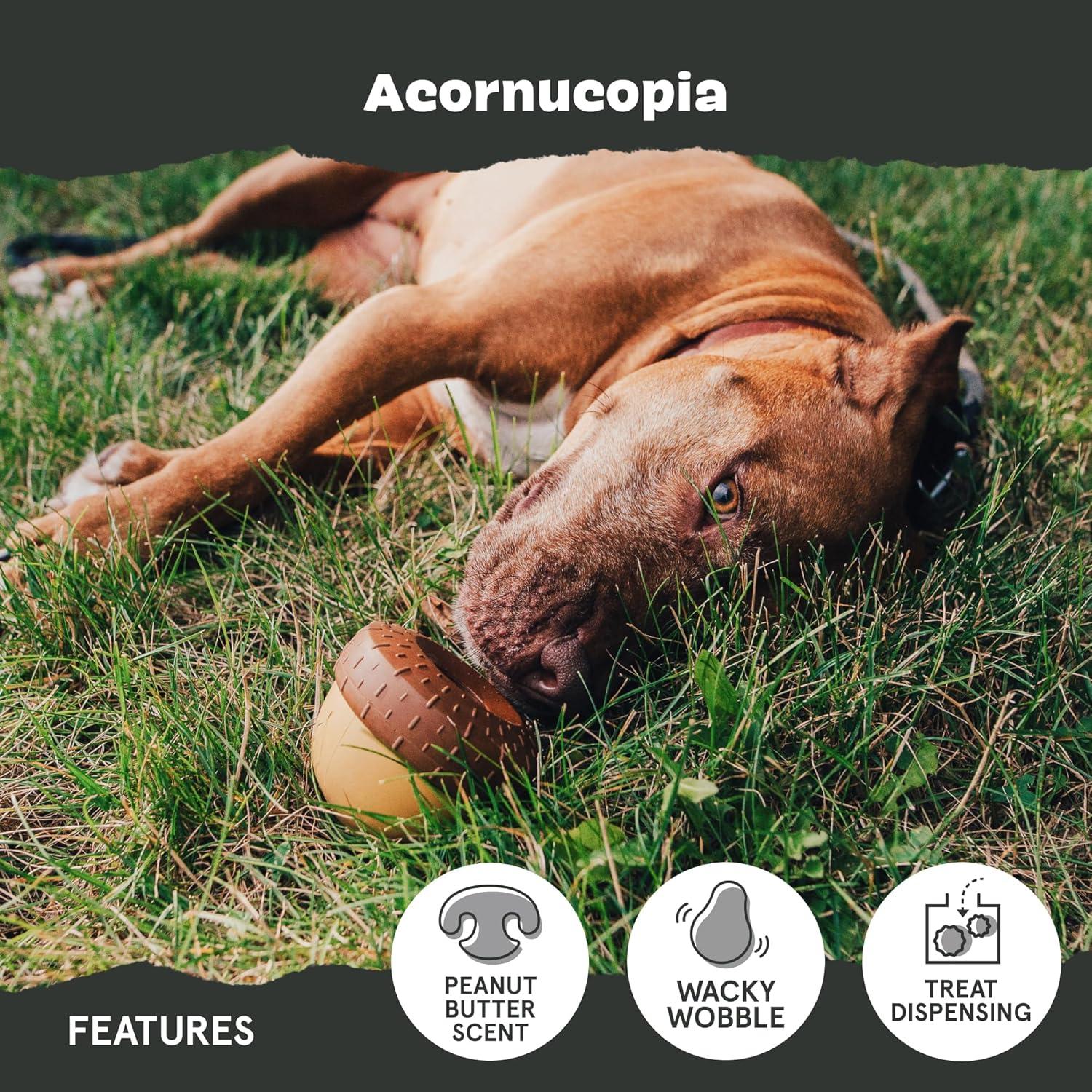 imageBarkbox Super Chewer Tough Dog Chew Toys for Aggressive Chewers Treat Dispensing CometSmallAcorn  Large