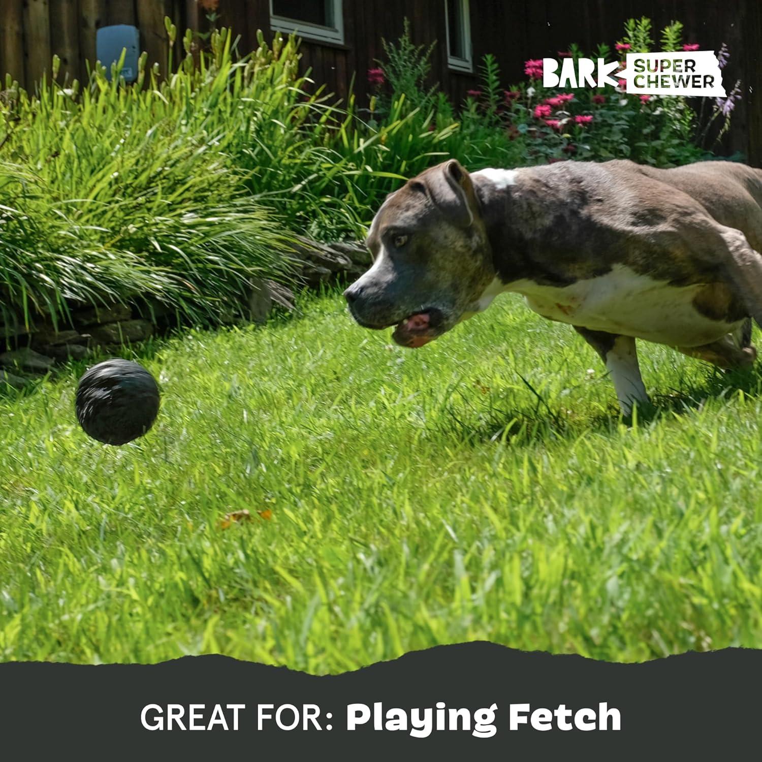 imageBarkbox Super Chewer Tough Dog Chew Toys for Aggressive Chewers Treat Dispensing CometSmallComet  Small