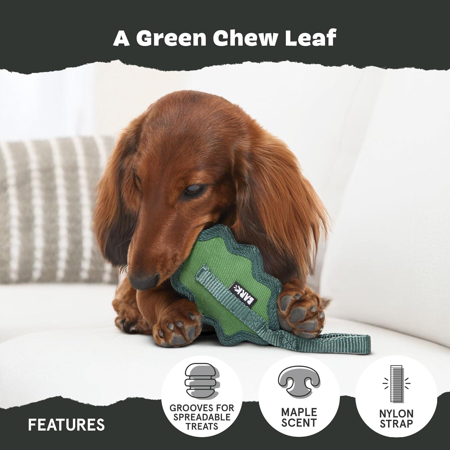 imageBarkbox Super Chewer Tough Dog Chew Toys for Aggressive Chewers Treat Dispensing CometSmallGreen Chew Leaf