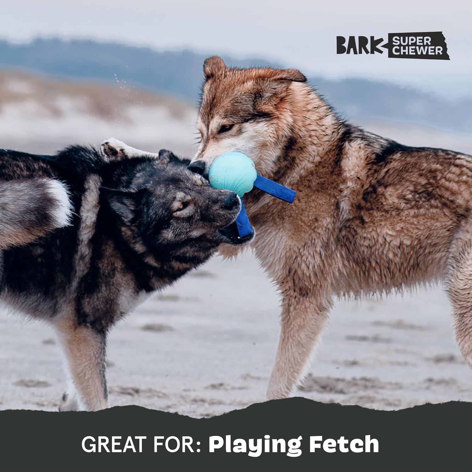 imageBarkbox Super Chewer Tough Dog Chew Toys for Aggressive Chewers Treat Dispensing CometSmallJelly FetchMedium