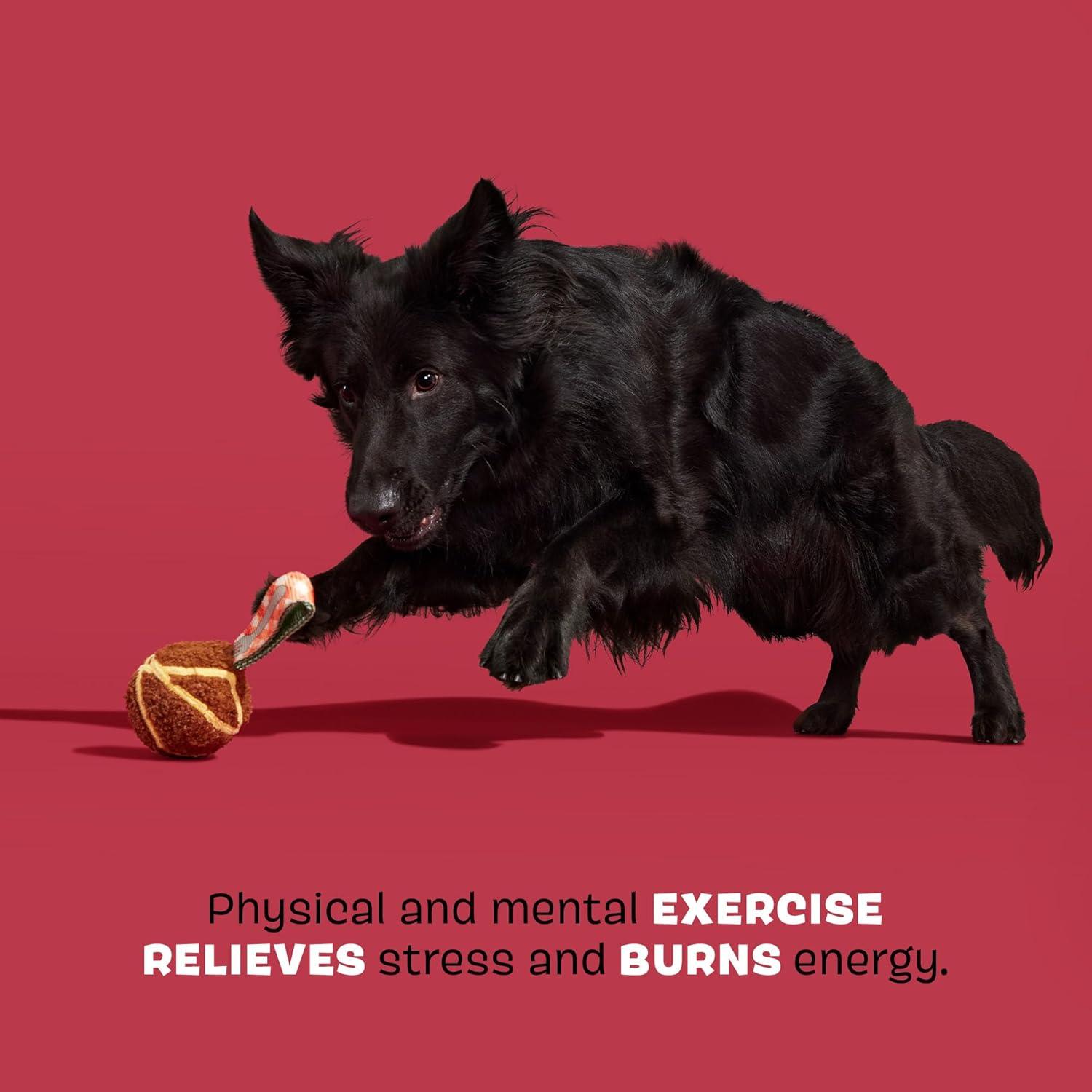 imageBarkbox Super Chewer Tough Dog Chew Toys for Aggressive Chewers Treat Dispensing CometSmallMeatball  Large