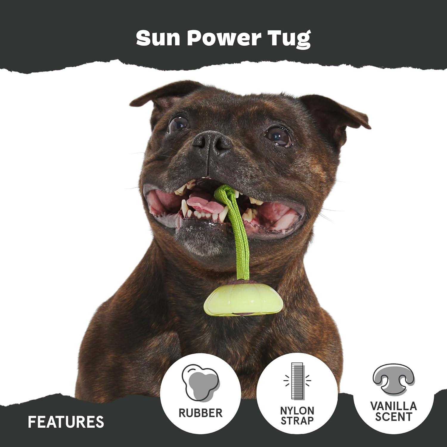 imageBarkbox Super Chewer Tough Dog Chew Toys for Aggressive Chewers Treat Dispensing CometSmallSun  Large