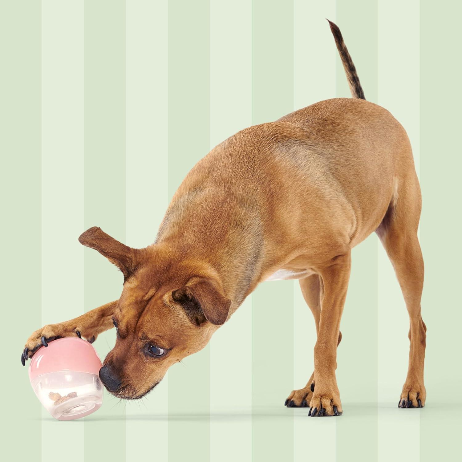 imageBarkbox Tipsy Treat Gift Pack  Valentines Day Plush TreatDispensing Dog Toy amp Chicken Jerky Heart Treats  Fun Gift Box for Medium to Large Dogs