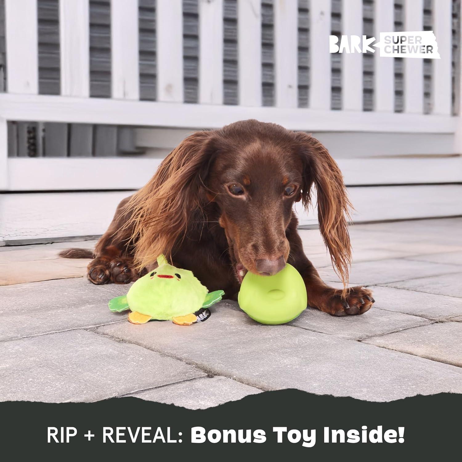 imageBarkbox Torbert The Troll Dog Toy for Small Dogs  Natural Rubber with Wacky Bounce  Perfect for Aggressive Chewers and LongLasting PlaytimePiper Parrot