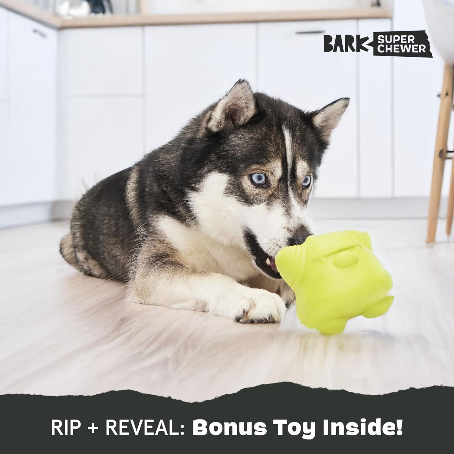 imageBarkbox Torbert The Troll Dog Toy for Small Dogs  Natural Rubber with Wacky Bounce  Perfect for Aggressive Chewers and LongLasting PlaytimeTorbert The TrollLarge