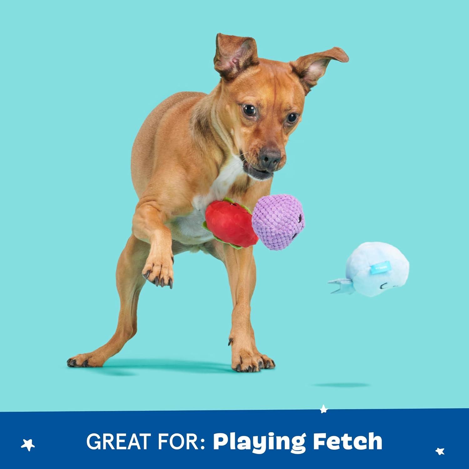 imageBarkbox Wild Berry Bunch Multi Part Toy for Dogs and Puppies Small BreedsWild Berry