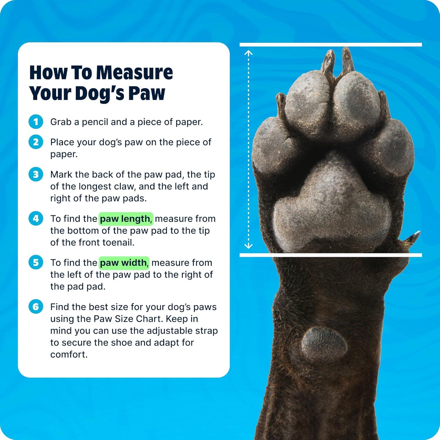 imageBarkbox Yellow Crocs Dog Shoes  Set of 4 GlowinTheDark Dog Booties with EVA Foam Adjustable Strap amp NonSlip Sole  Comfortable Paw Protection for Large Breeds 5180 lbsAqua