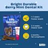 Barkbox Bright Durable Dental Kit, Berry Mint Flavored, 15 Chew Sticks & Toothpaste – Large Breeds(Large Breeds)