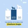Barkbox Bright Durable Dental Kit, Berry Mint Flavored, 15 Chew Sticks & Toothpaste – Large Breeds(Medium Breeds)