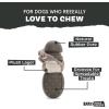 Barkbox Buck Wild Super Chewer Dog Toy for Medium to Large Dogs, Perfect for Dogs Who Love Gnawing, Shredding and Tough Playtime Fun(Buck Wild)